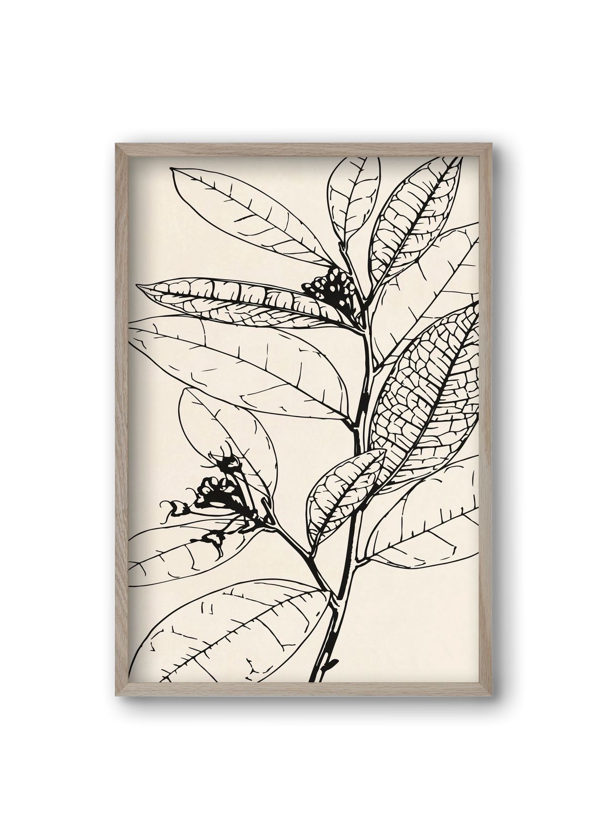 MINIMAL PLANT 02, 20x30 cm (20x30 cm), Tölgy keret