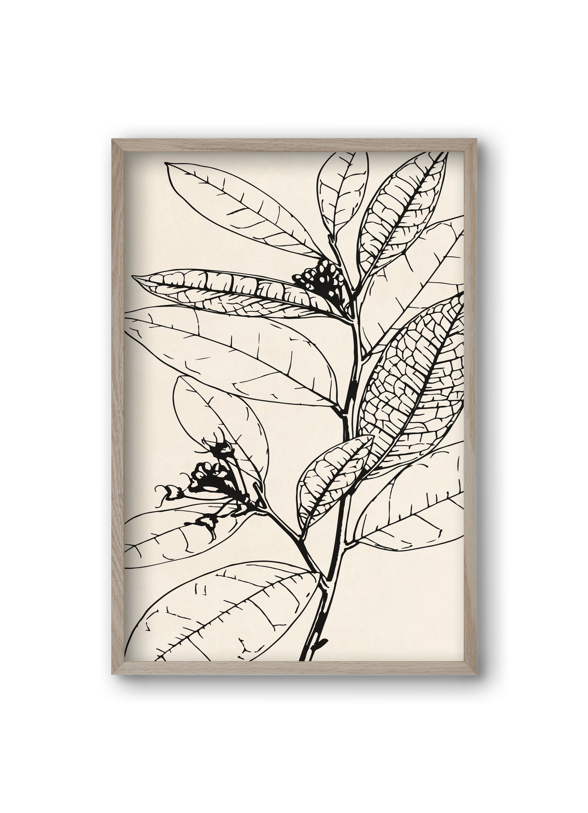 MINIMAL PLANT 02, 20x30 cm (20x30 cm), Tölgy keret