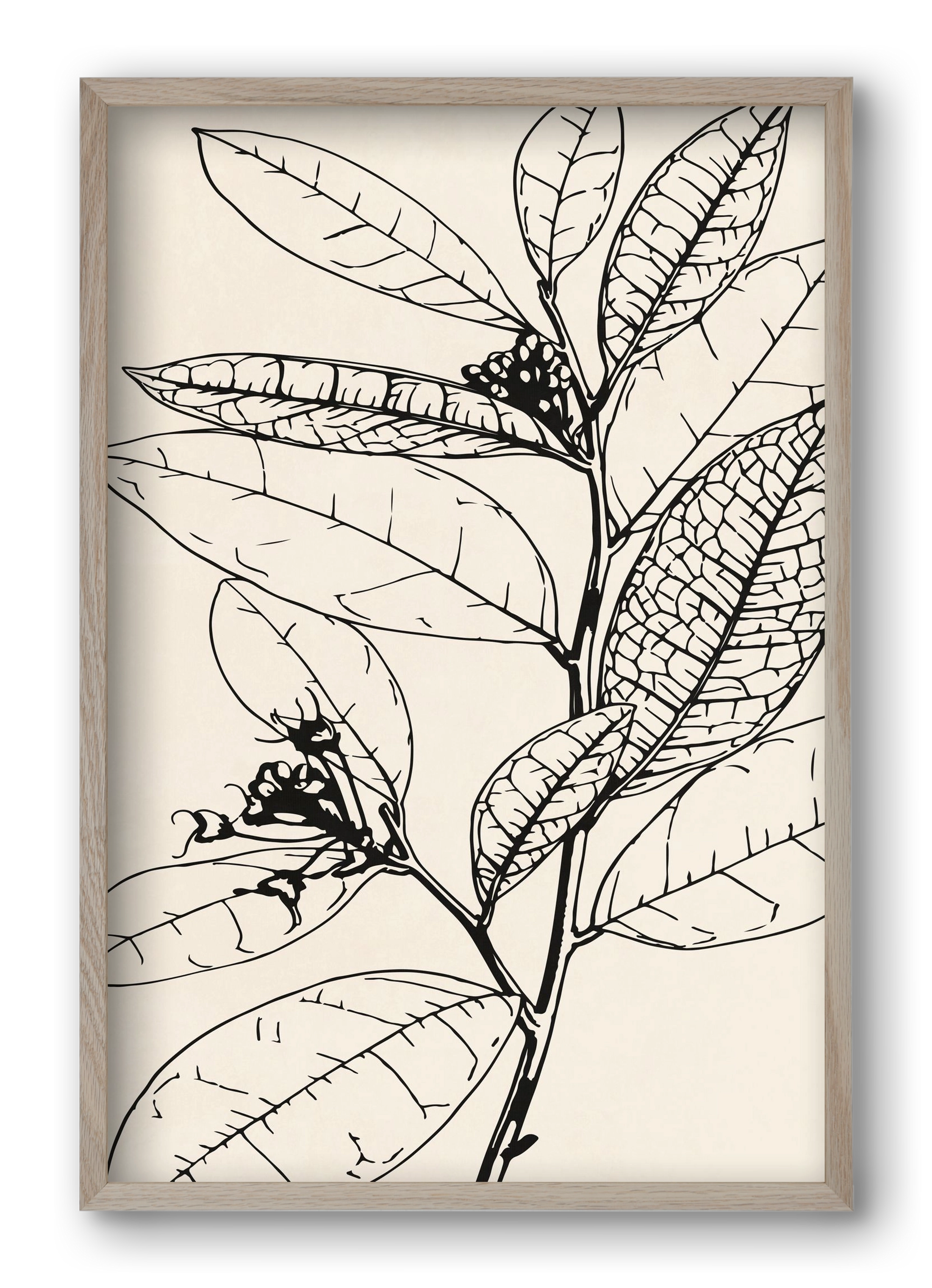 MINIMAL PLANT 02, 40x60 cm (40x60 cm), Tölgy keret