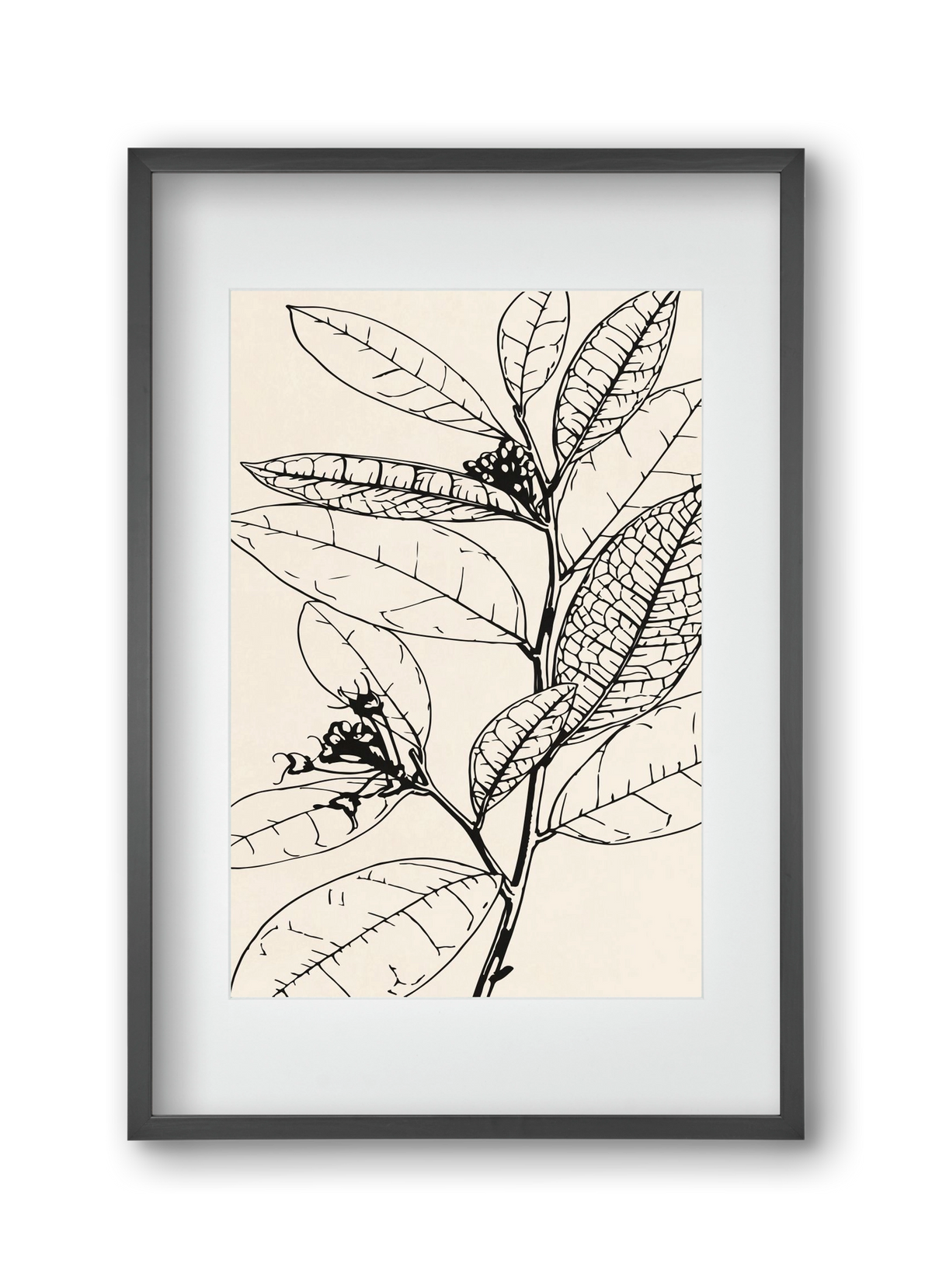 MINIMAL PLANT 02, 30x45 cm (20x30 cm), Fekete keret, paszpartuval