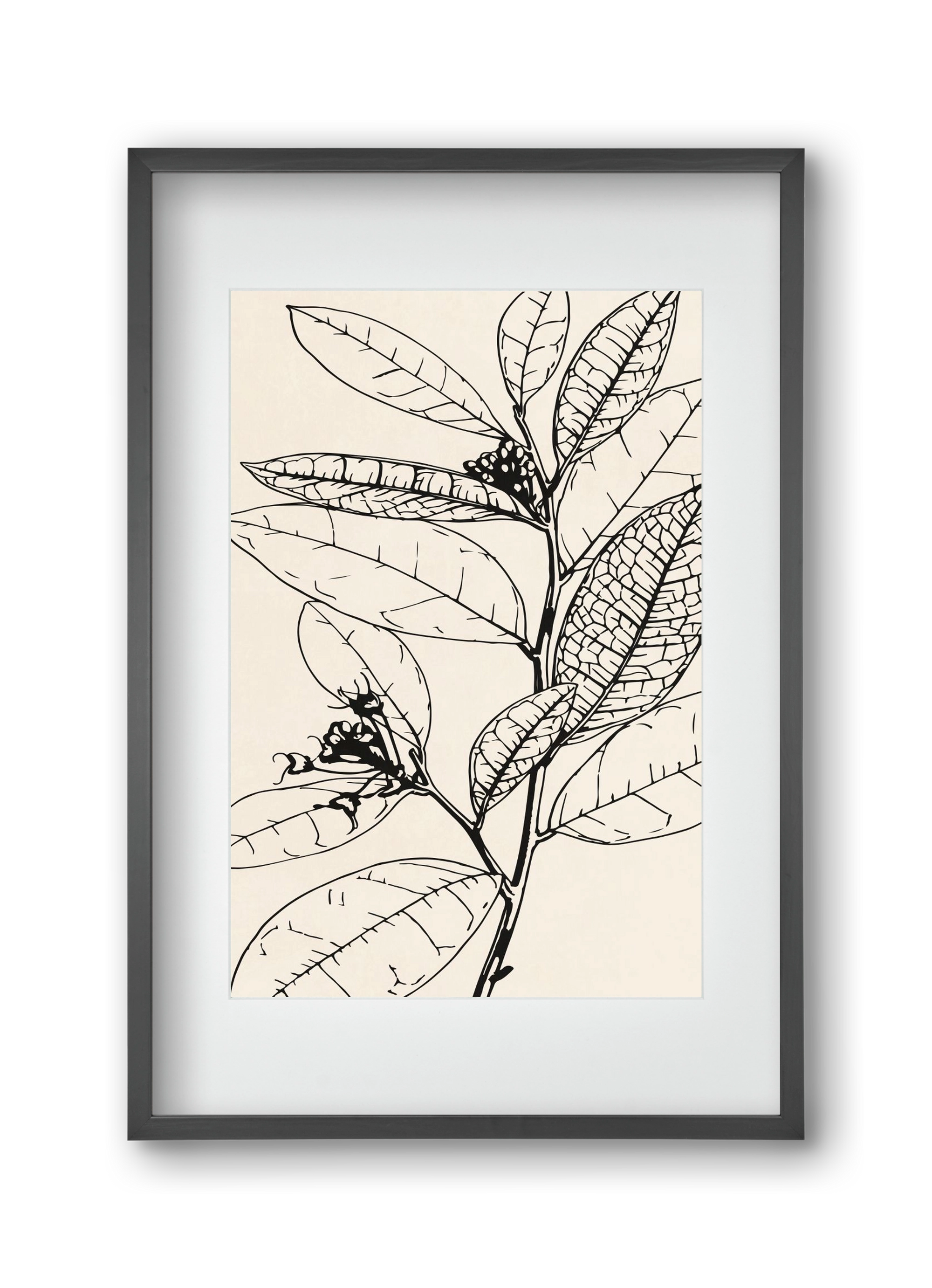 MINIMAL PLANT 02, 30x45 cm (20x30 cm), Fekete keret, paszpartuval