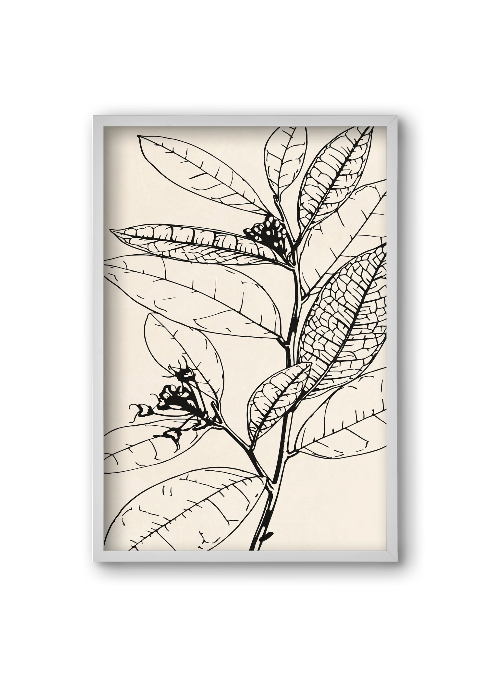 MINIMAL PLANT 02, 20x30 cm (20x30 cm), Fehér keret