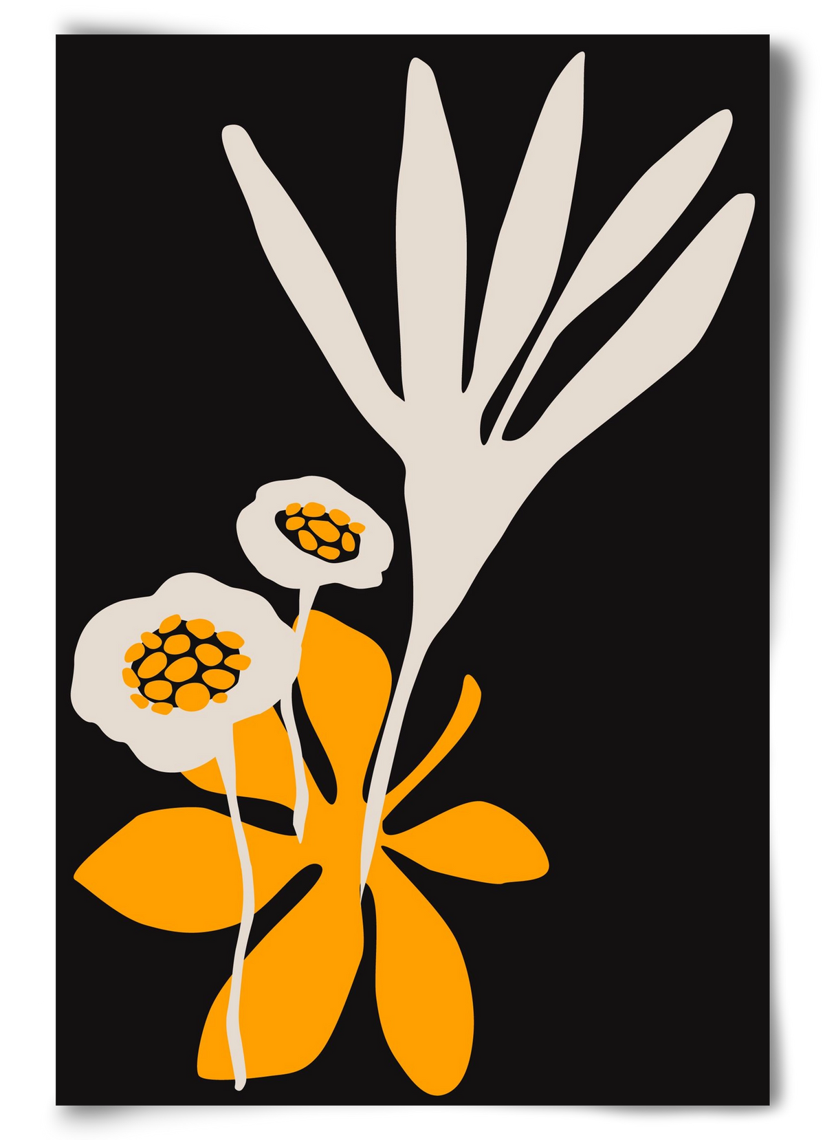 Blossom beauty - Nero, 60x90 cm, Keret nélkül