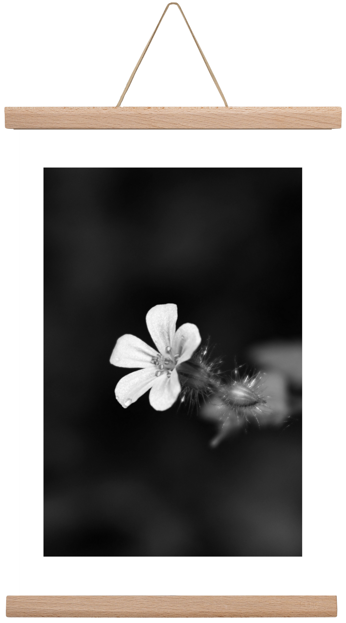 Geranium, 30x45 cm (30x45 cm), Tölgy akasztó