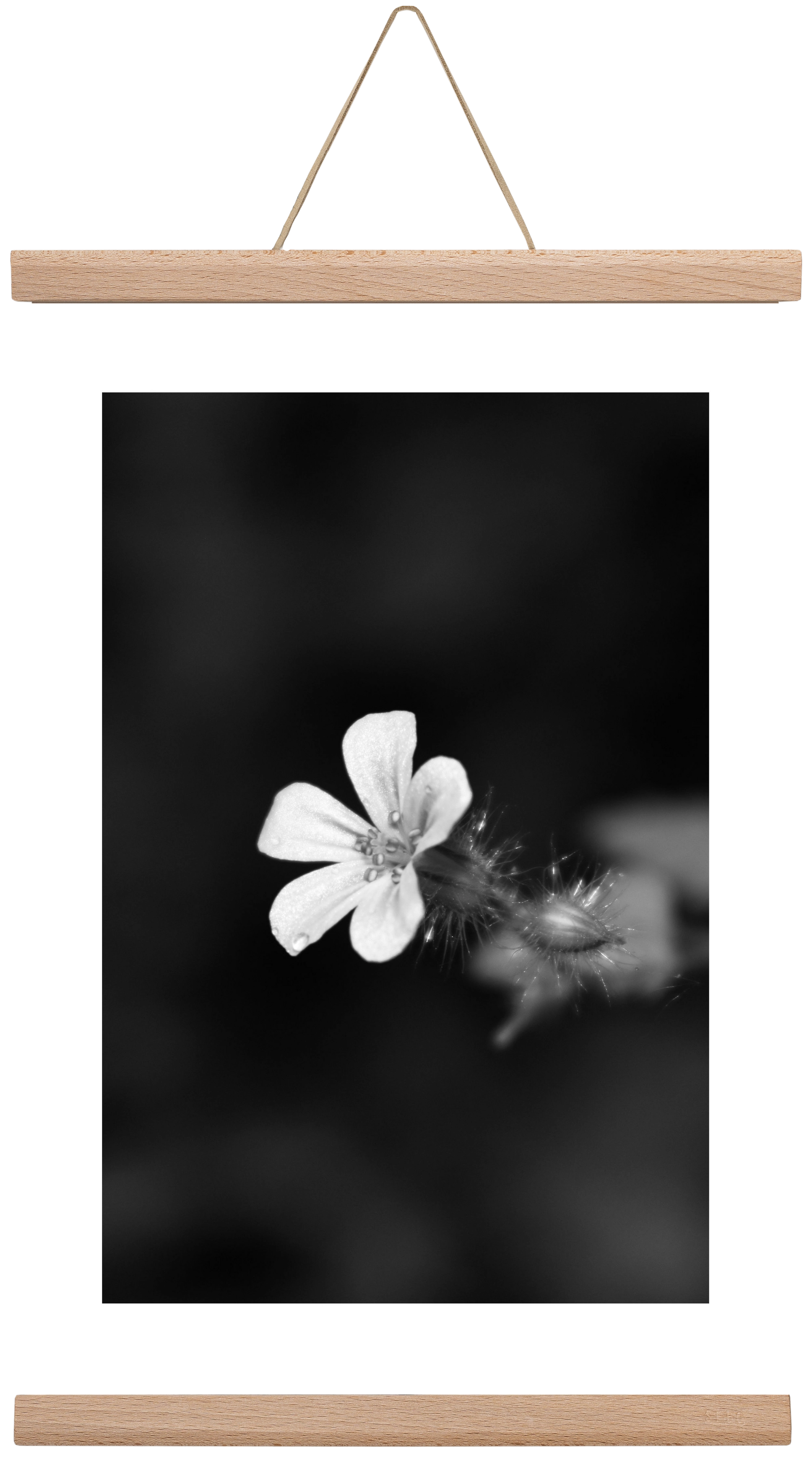 Geranium, 30x45 cm (30x45 cm), Tölgy akasztó