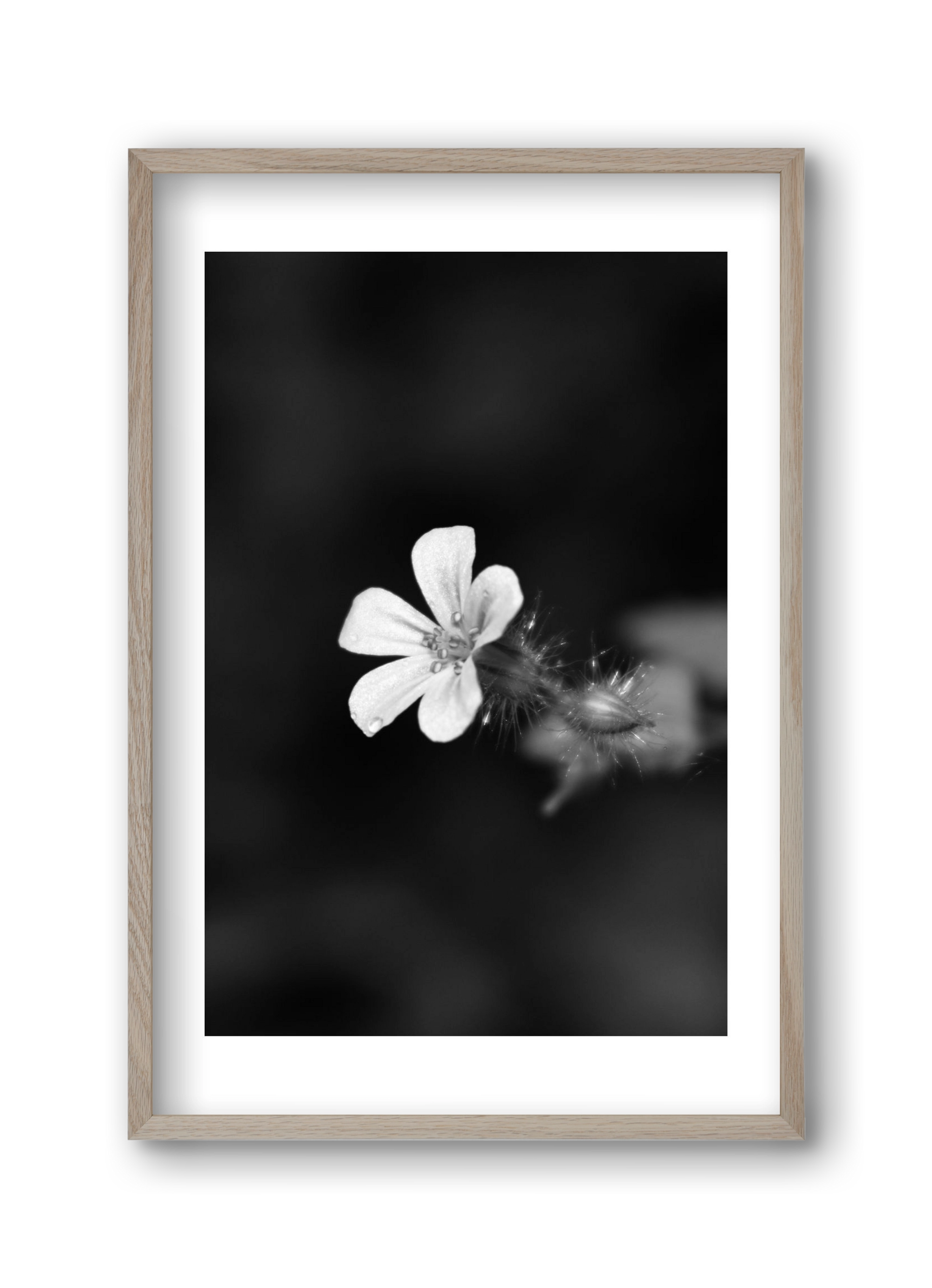 Geranium, 30x45 cm (30x45 cm), Tölgy keret