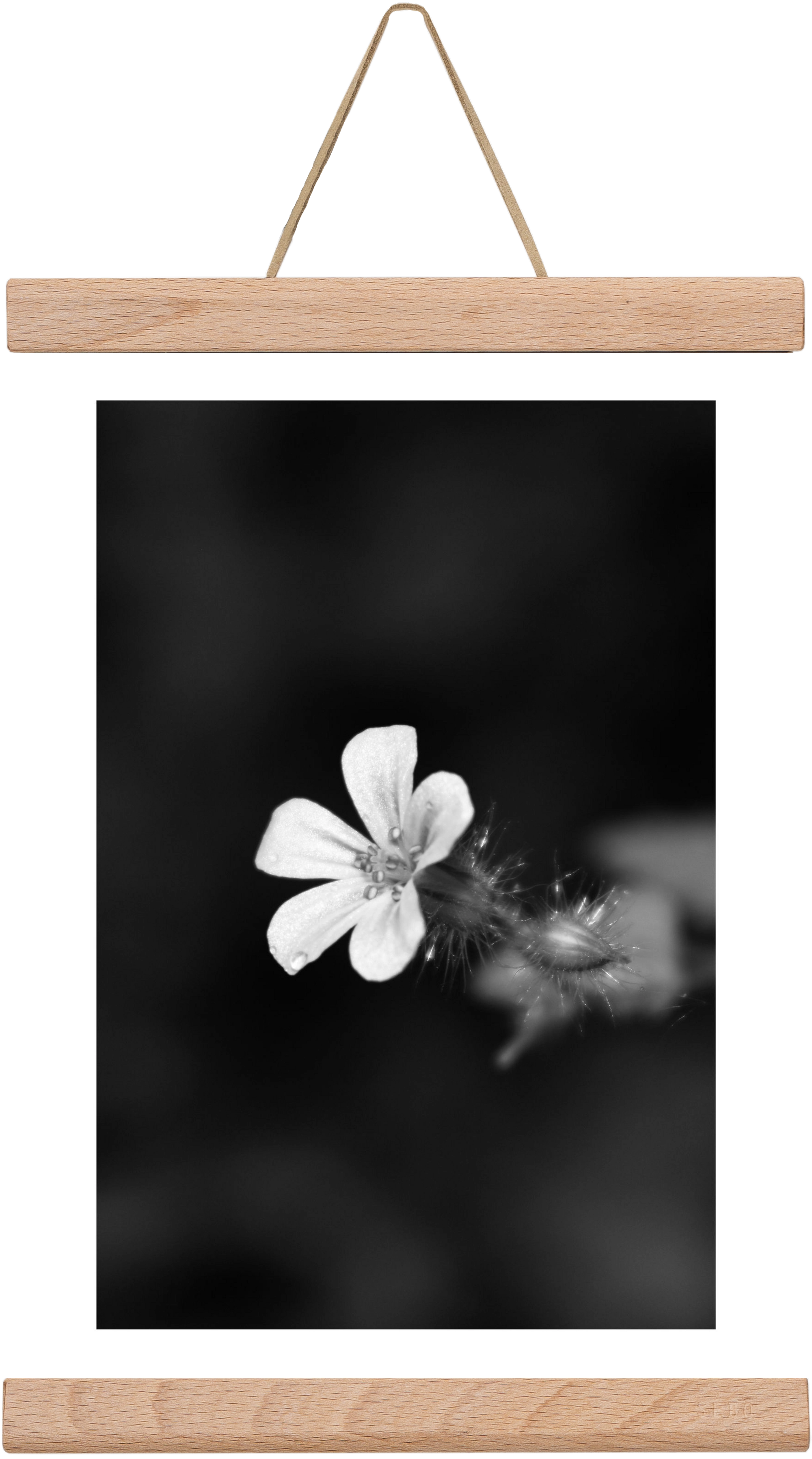 Geranium, 20x30 cm (20x30 cm), Tölgy akasztó