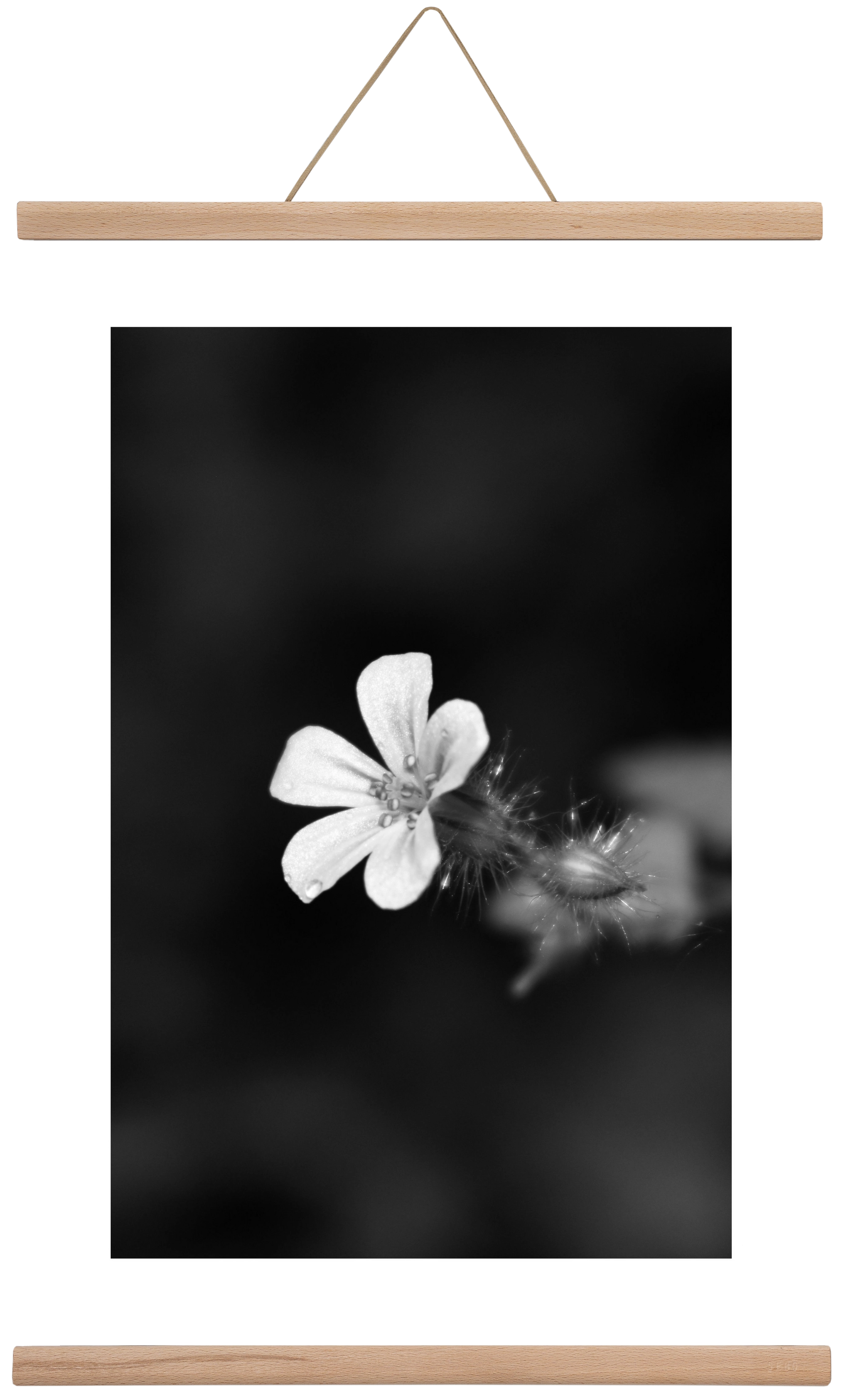 Geranium, 40x60 cm (40x60 cm), Tölgy akasztó