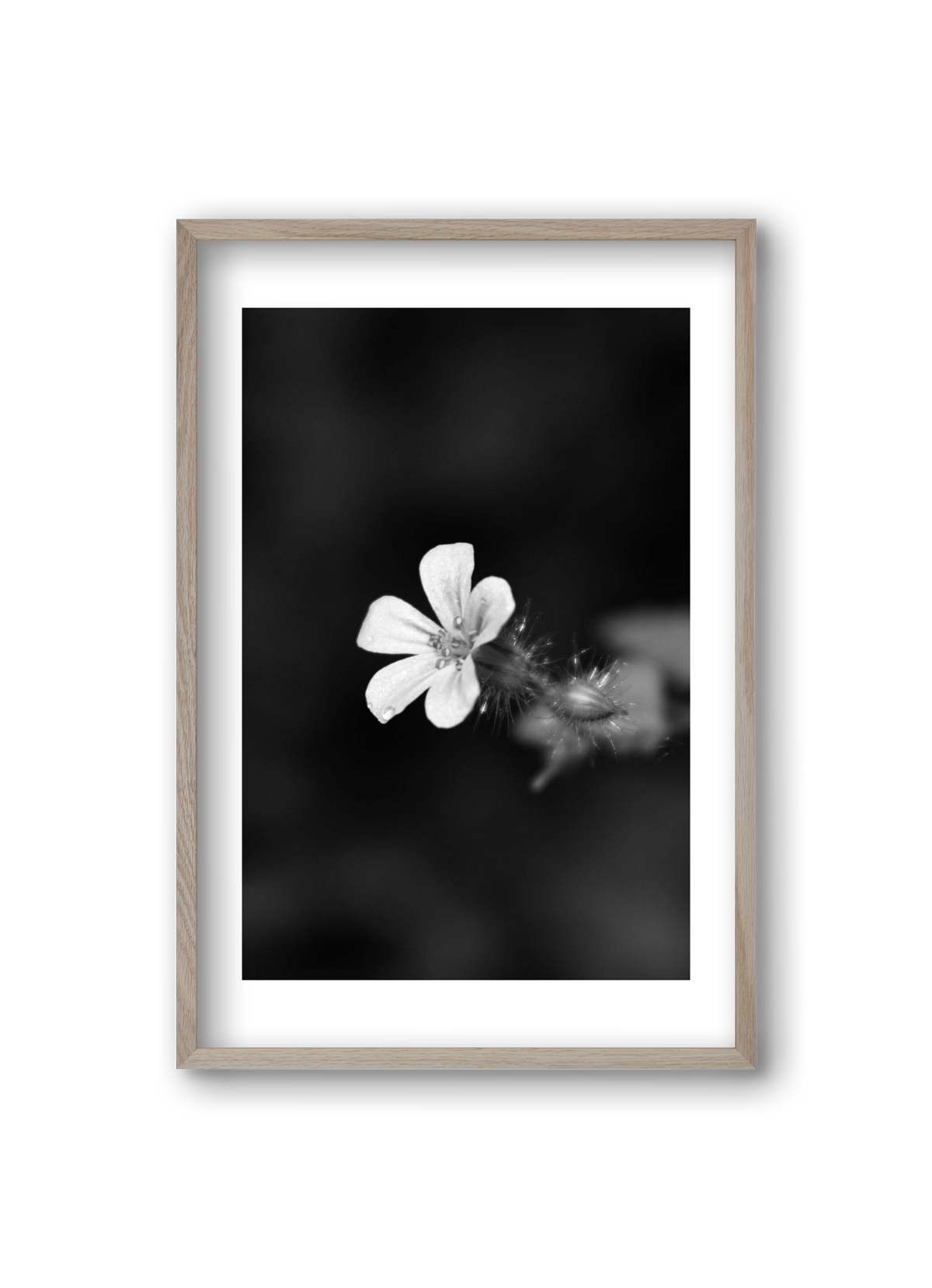 Geranium, 20x30 cm (20x30 cm), Tölgy keret