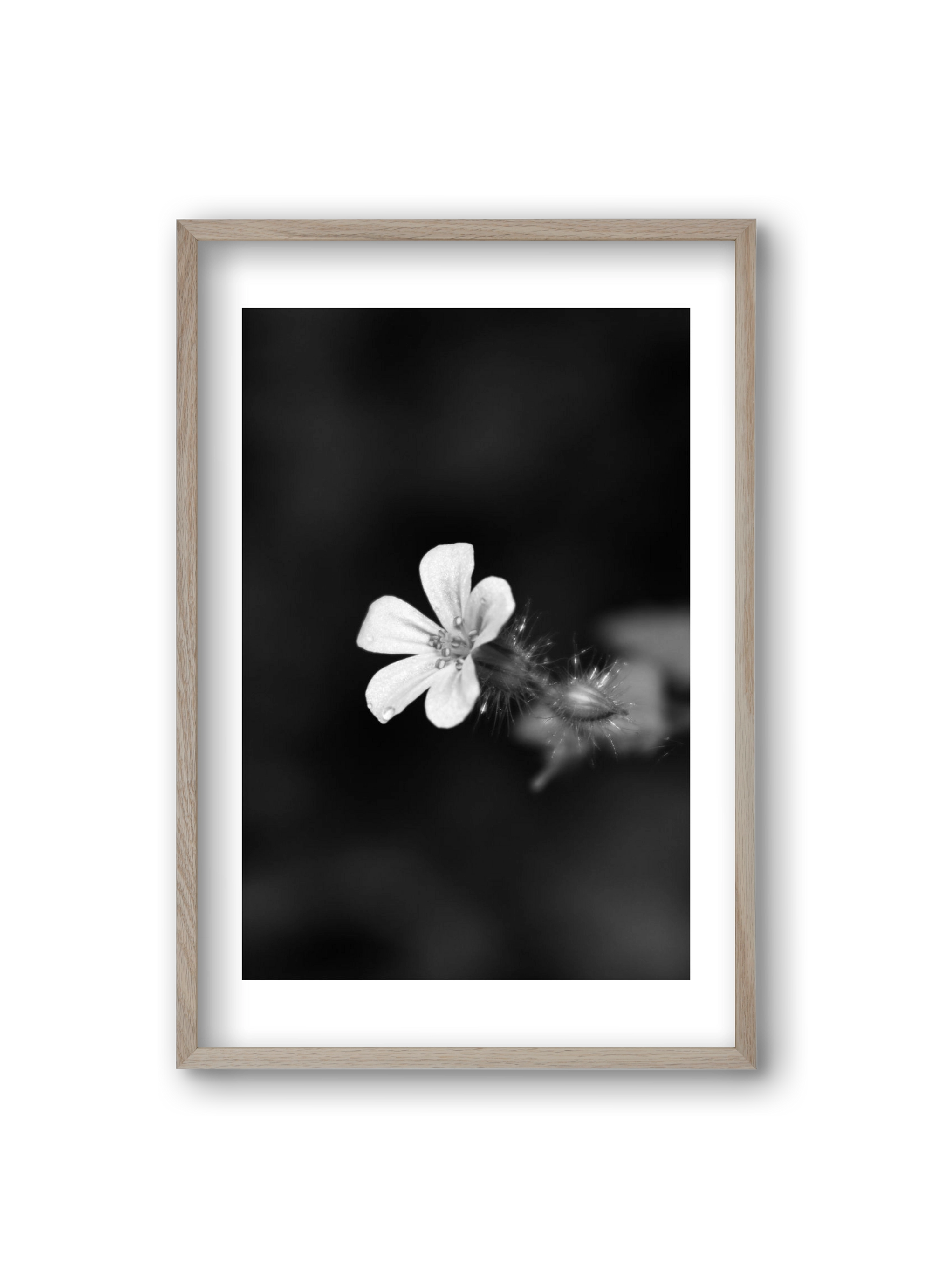 Geranium, 20x30 cm (20x30 cm), Tölgy keret