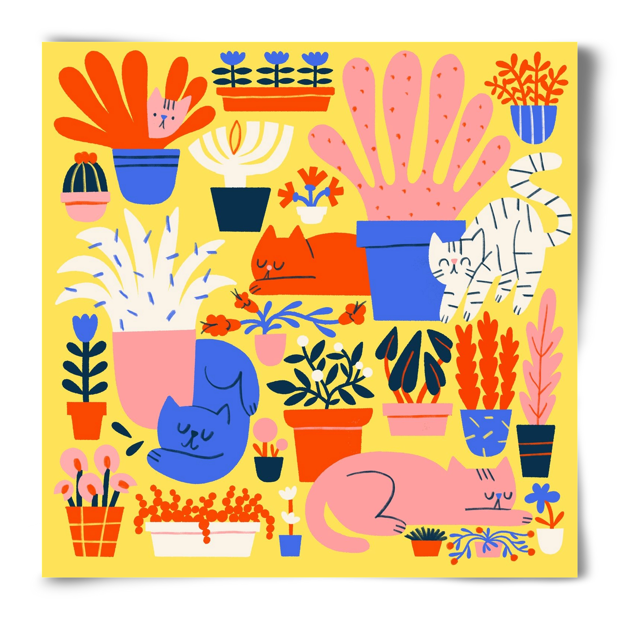 Five cats among flowers, 50x50 cm, Keret nélkül