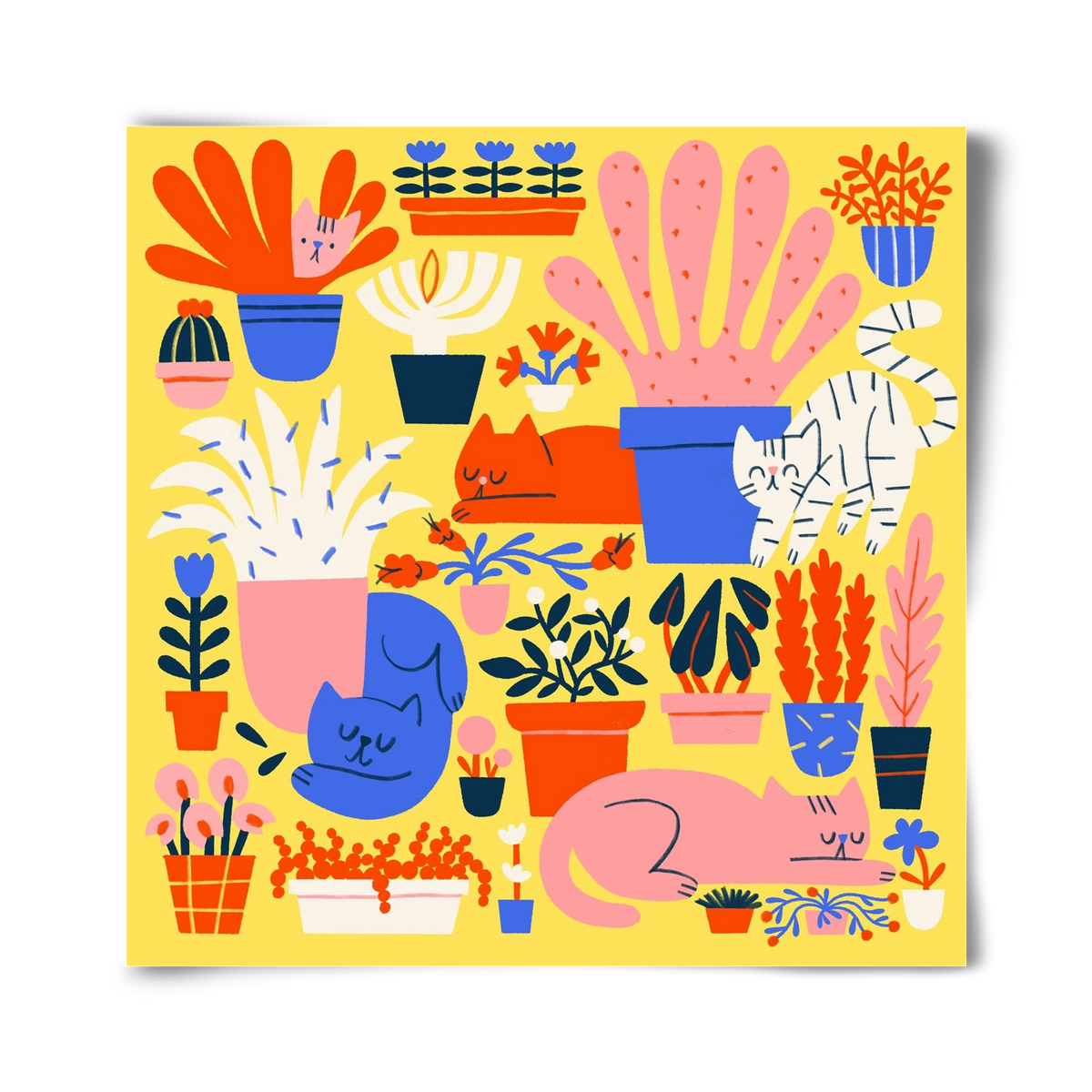 Five cats among flowers, 40x40 cm, Keret nélkül