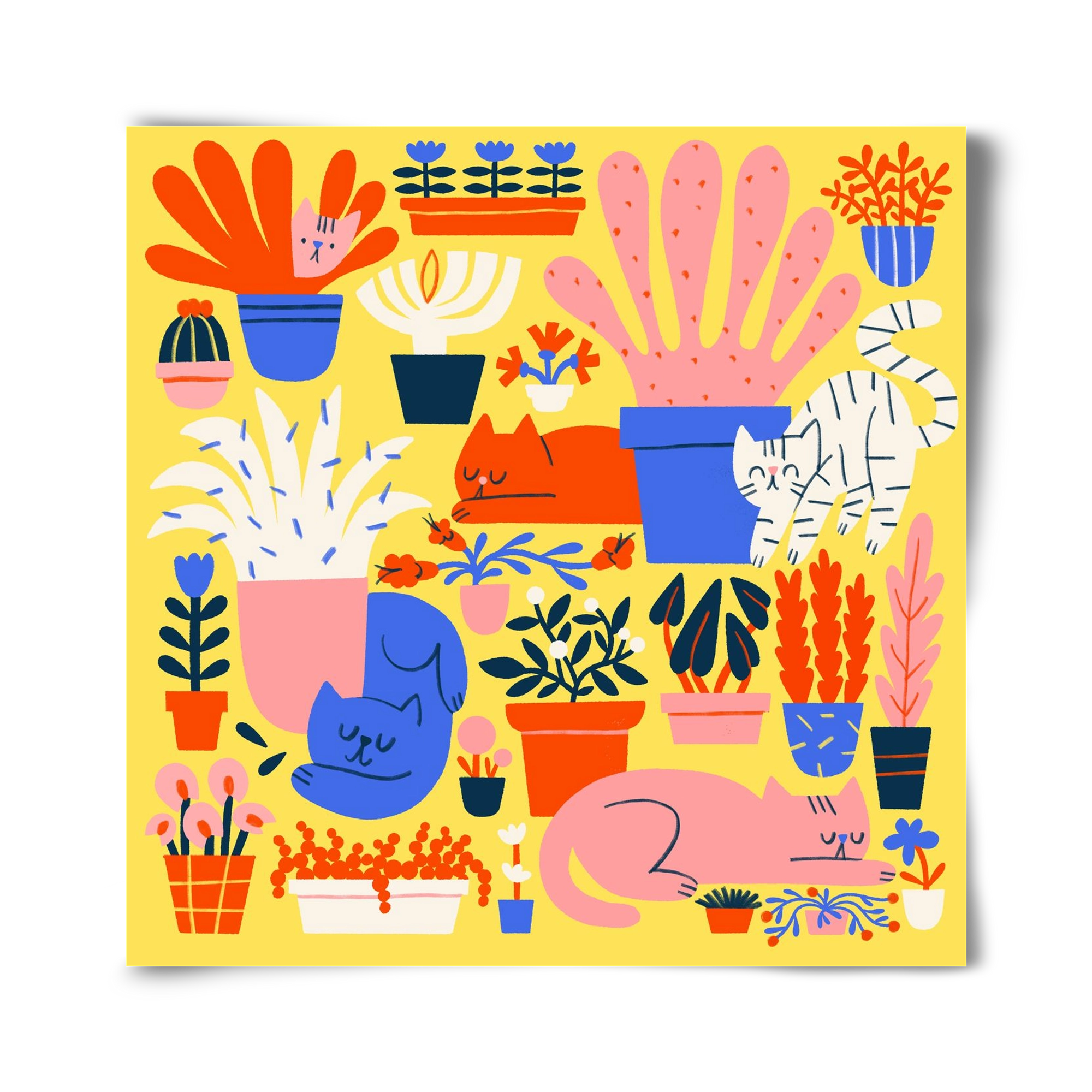 Five cats among flowers, 40x40 cm, Keret nélkül