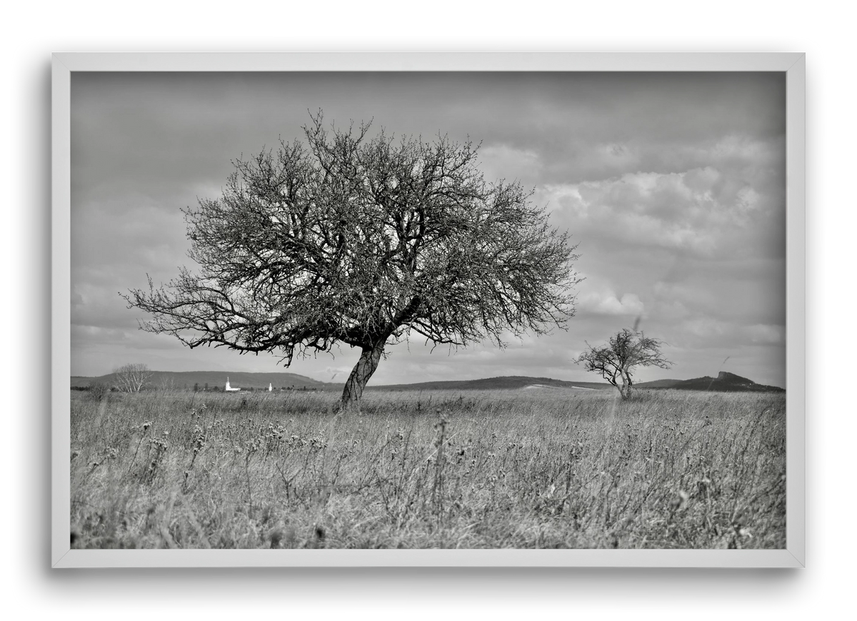 Kali, 60x40 cm (60x40 cm), Fehér keret