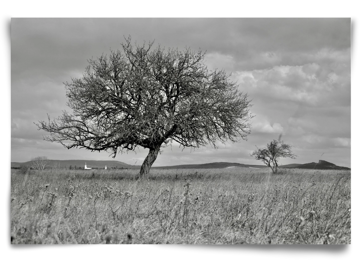 Kali, 90x60 cm, Keret nélkül