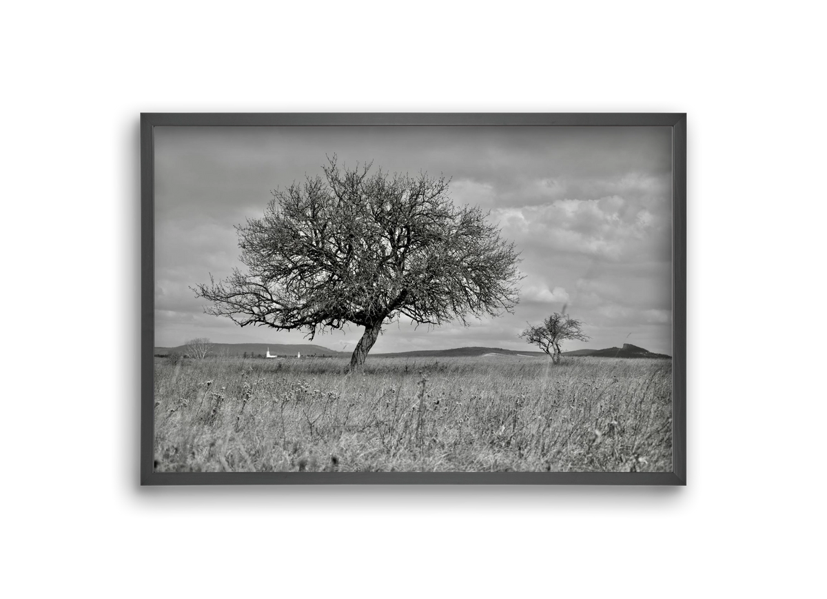 Kali, 30x20 cm (30x20 cm), Fekete keret