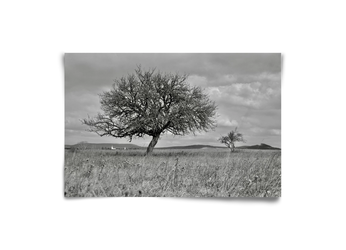 Kali, 30x20 cm, Keret nélkül