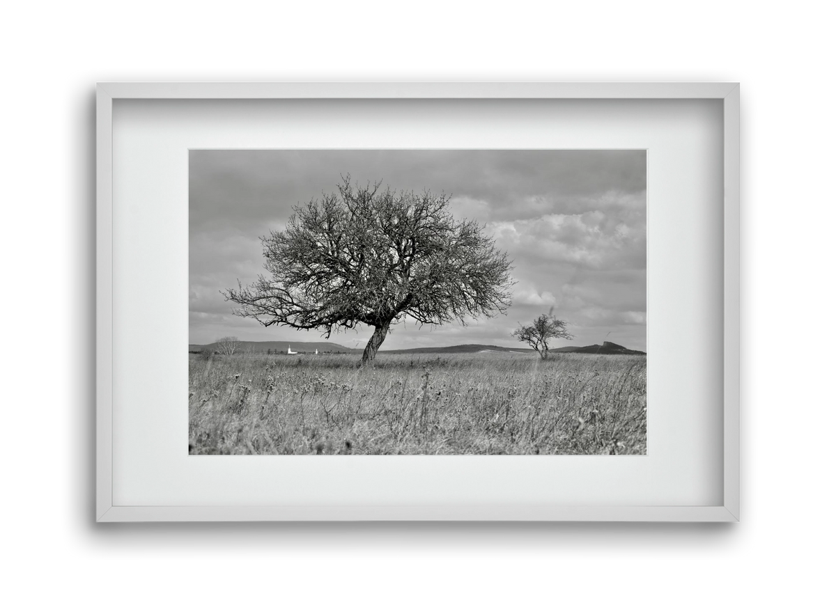 Kali, 45x30 cm (30x20 cm), Fehér keret, paszpartuval