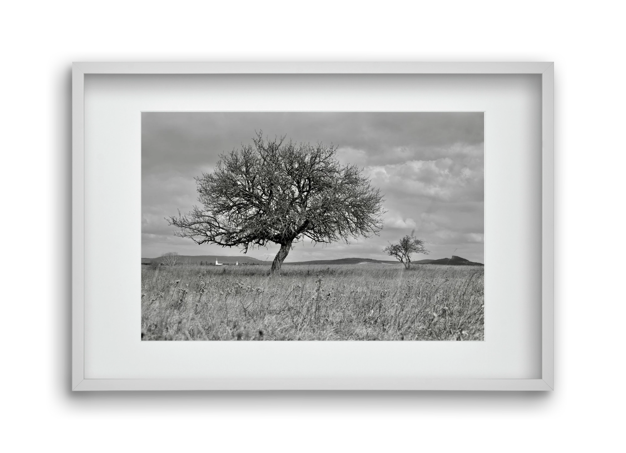 Kali, 45x30 cm (30x20 cm), Fehér keret, paszpartuval