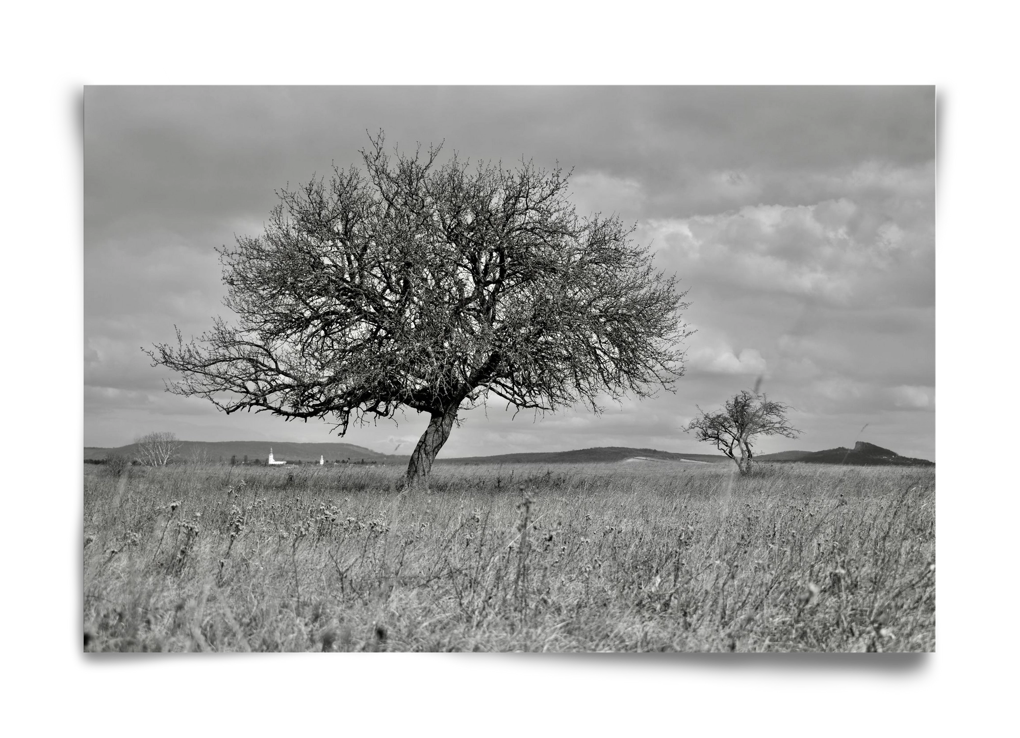 Kali, 60x40 cm, Keret nélkül