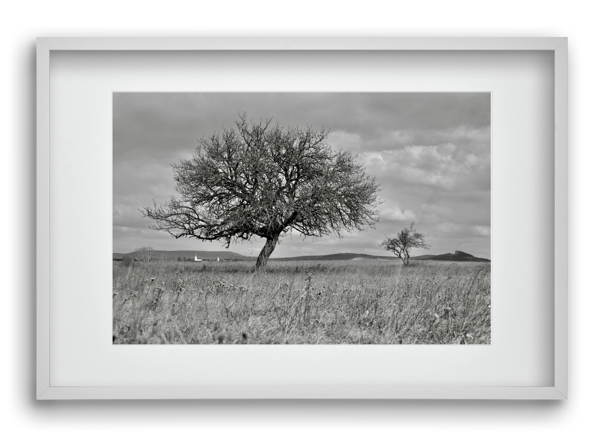 Kali, 60x40 cm (45x30 cm), Fehér keret, paszpartuval