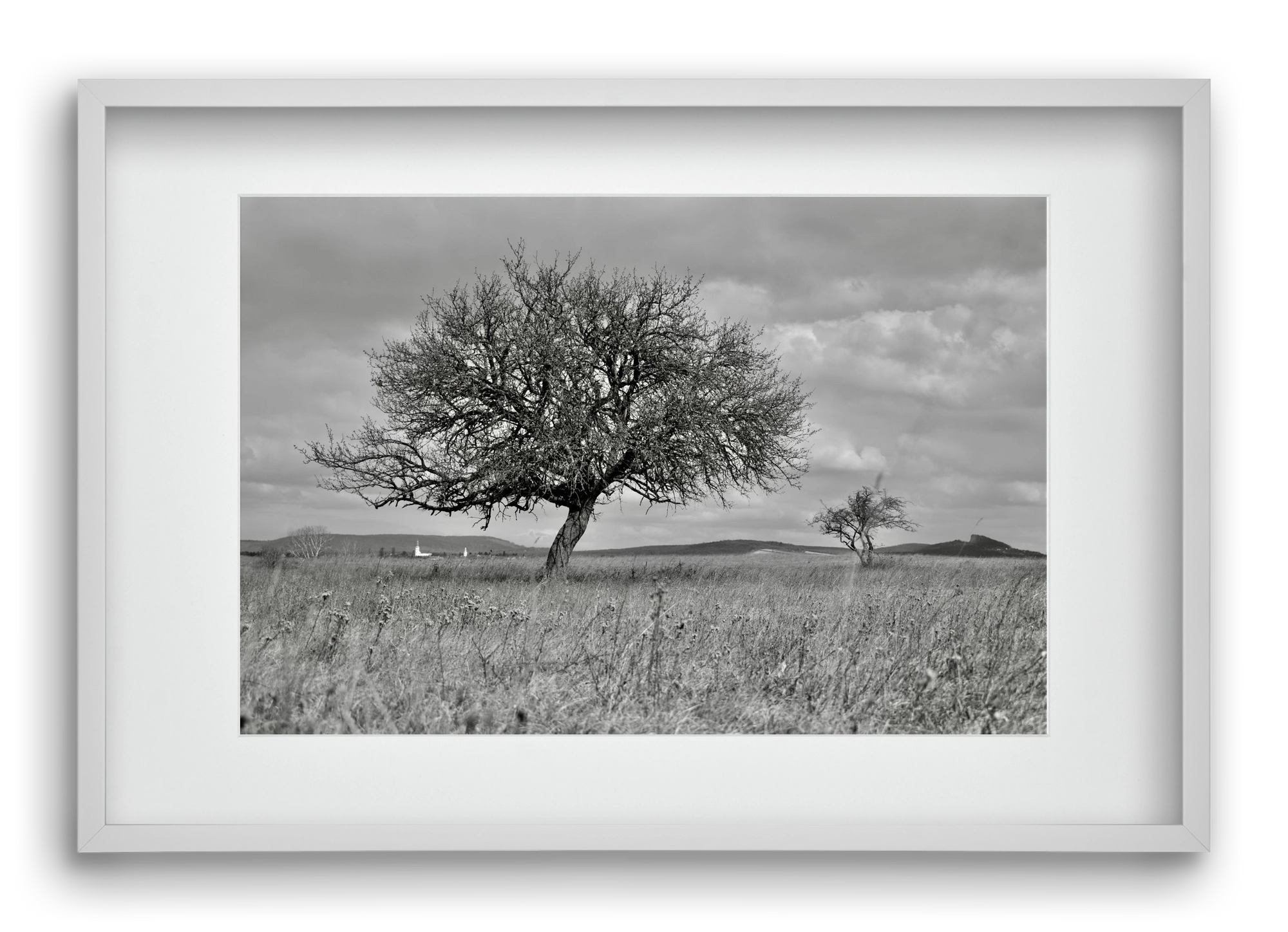 Kali, 60x40 cm (45x30 cm), Fehér keret, paszpartuval