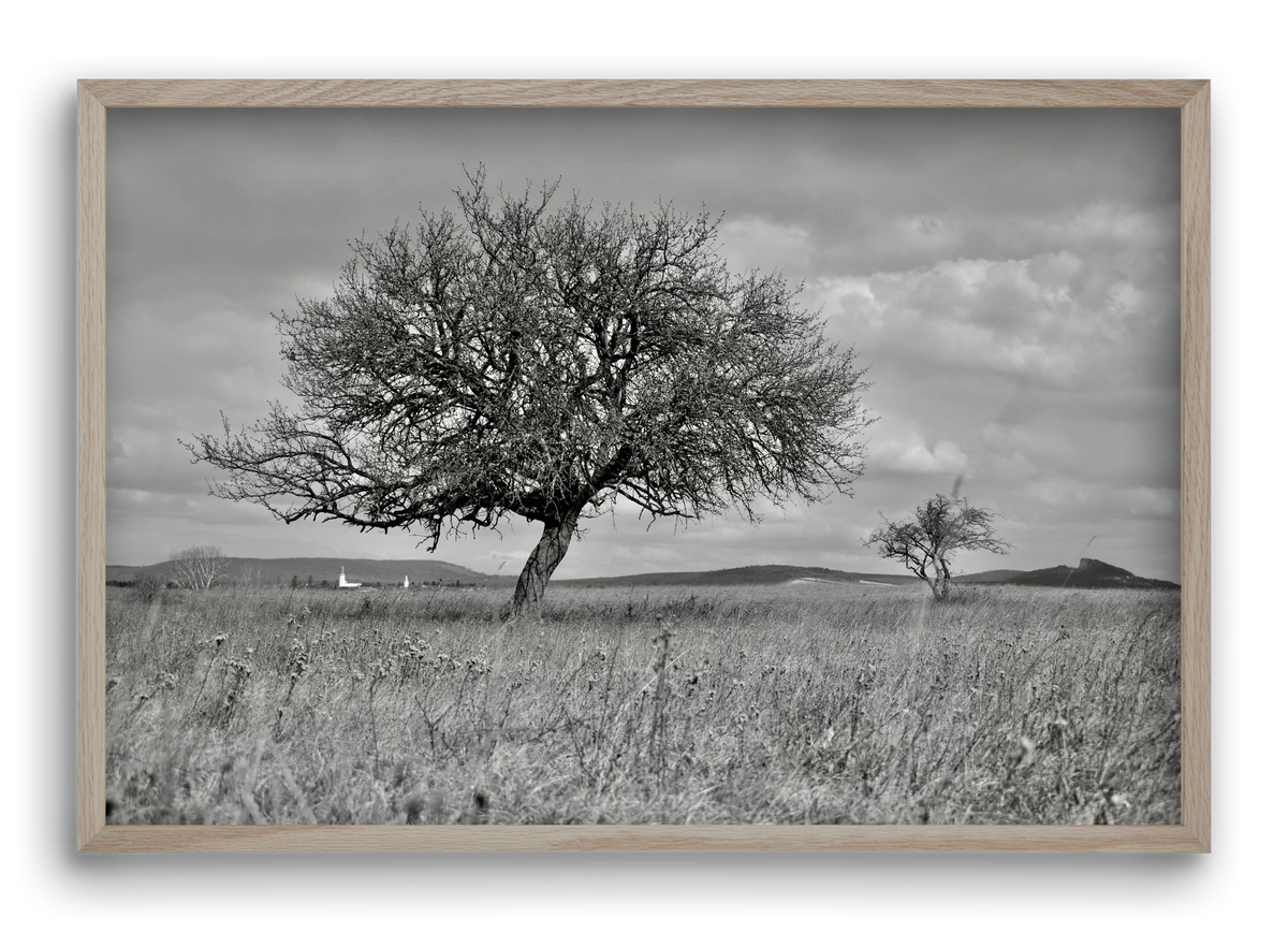 Kali, 60x40 cm (60x40 cm), Tölgy keret