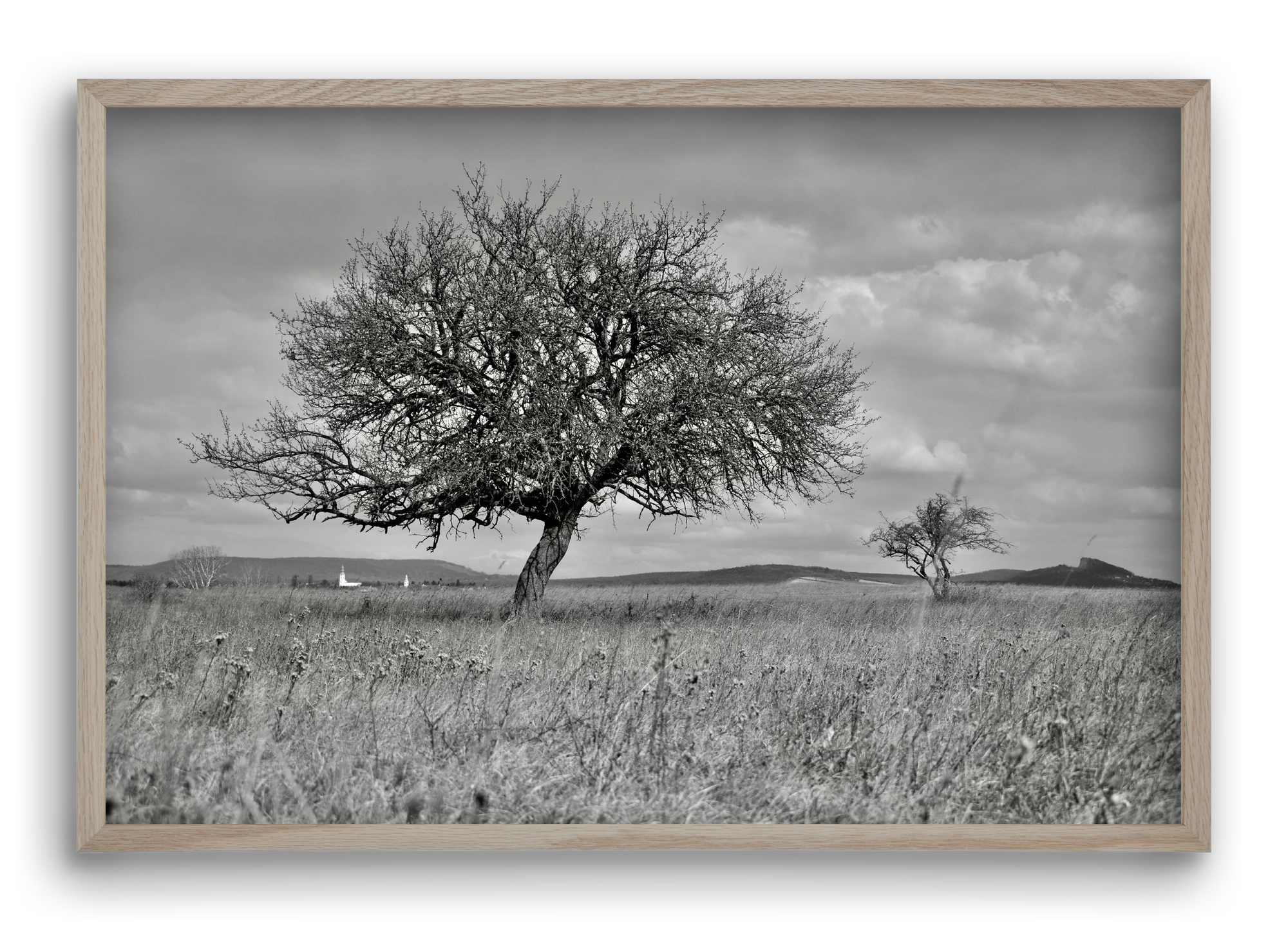 Kali, 60x40 cm (60x40 cm), Tölgy keret