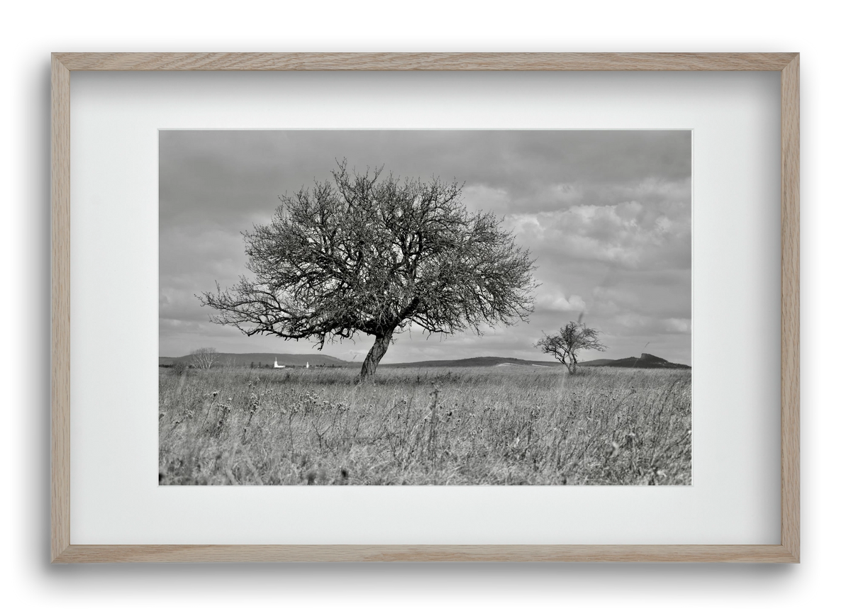 Kali, 60x40 cm (45x30 cm), Tölgy keret, paszpartuval