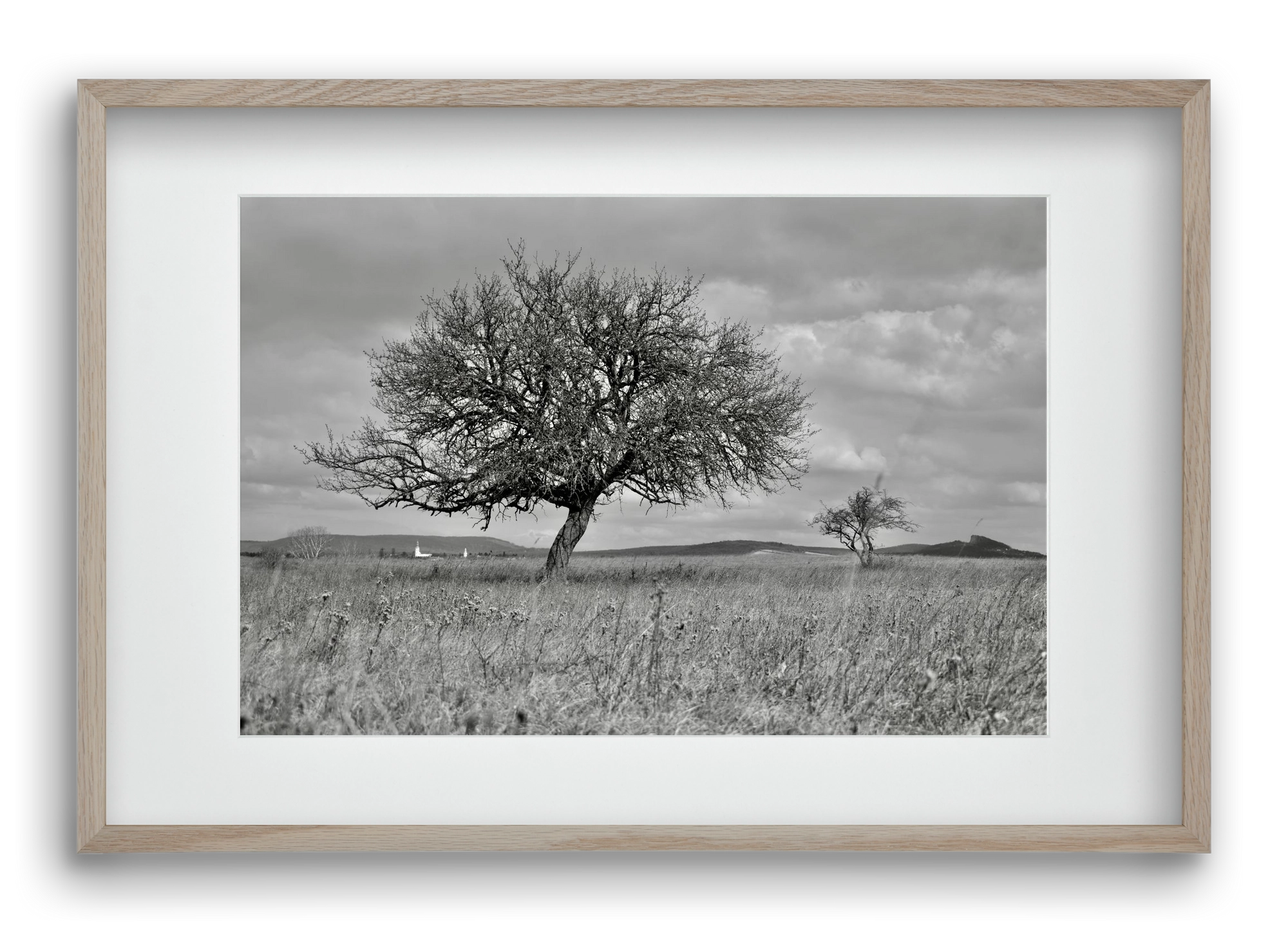 Kali, 60x40 cm (45x30 cm), Tölgy keret, paszpartuval