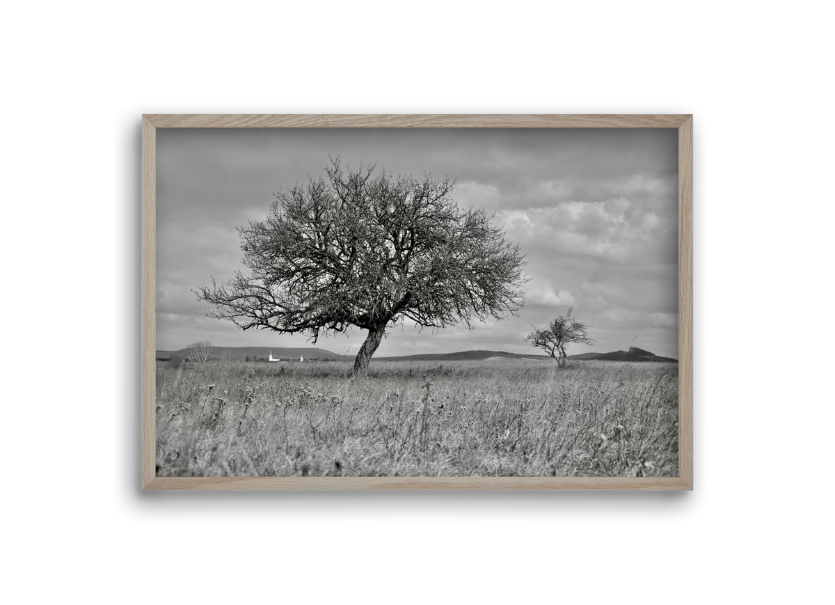 Kali, 30x20 cm (30x20 cm), Tölgy keret