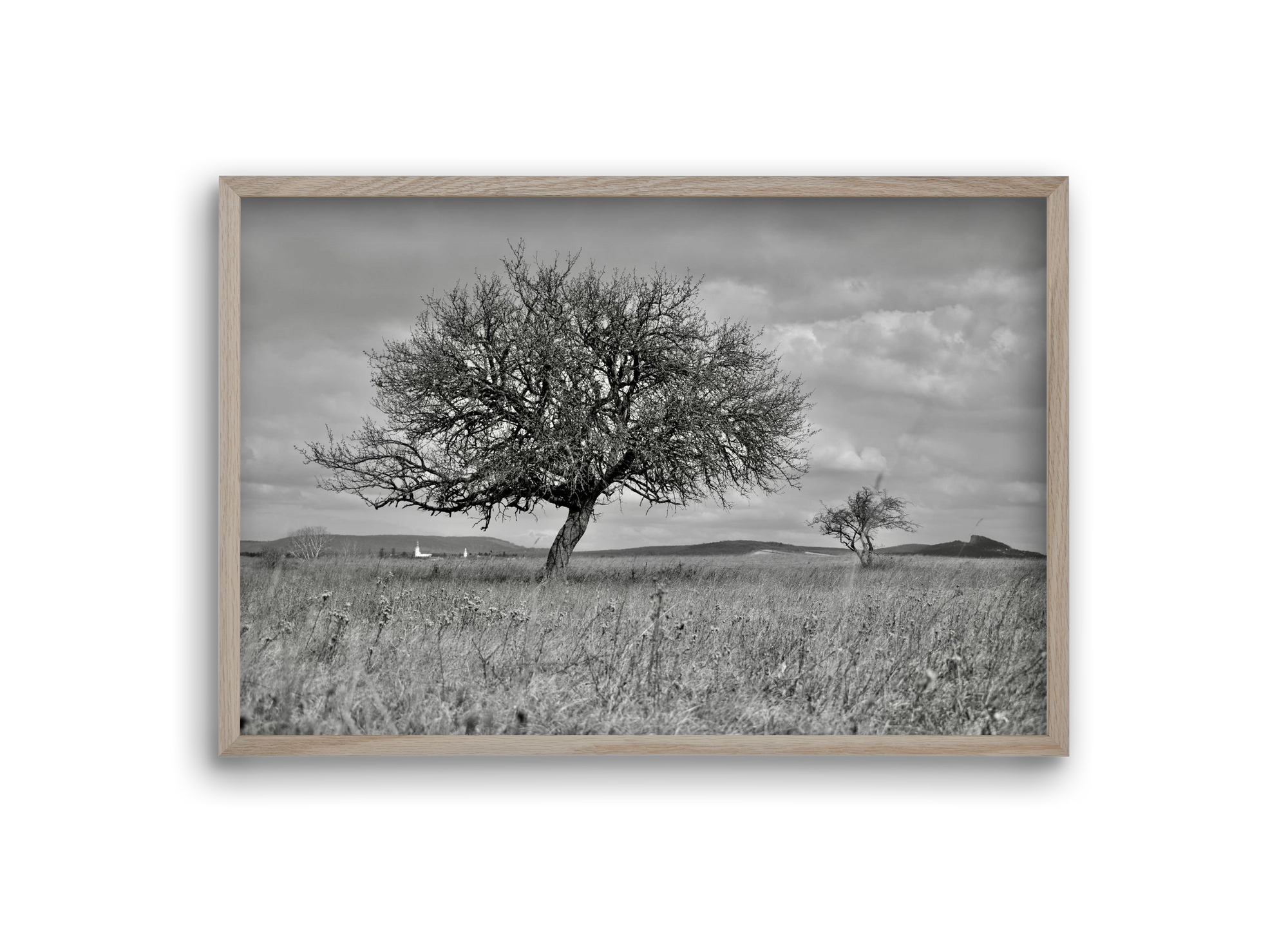Kali, 30x20 cm (30x20 cm), Tölgy keret
