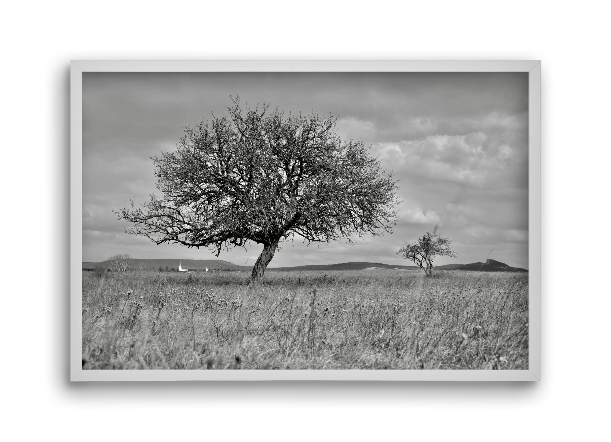 Kali, 45x30 cm (45x30 cm), Fehér keret