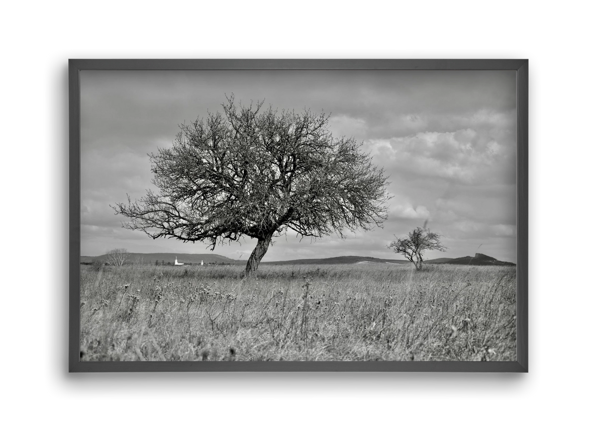 Kali, 45x30 cm (45x30 cm), Fekete keret