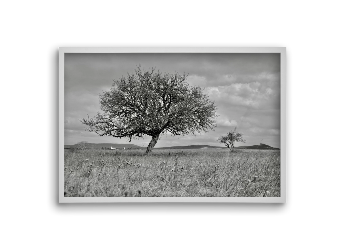 Kali, 30x20 cm (30x20 cm), Fehér keret