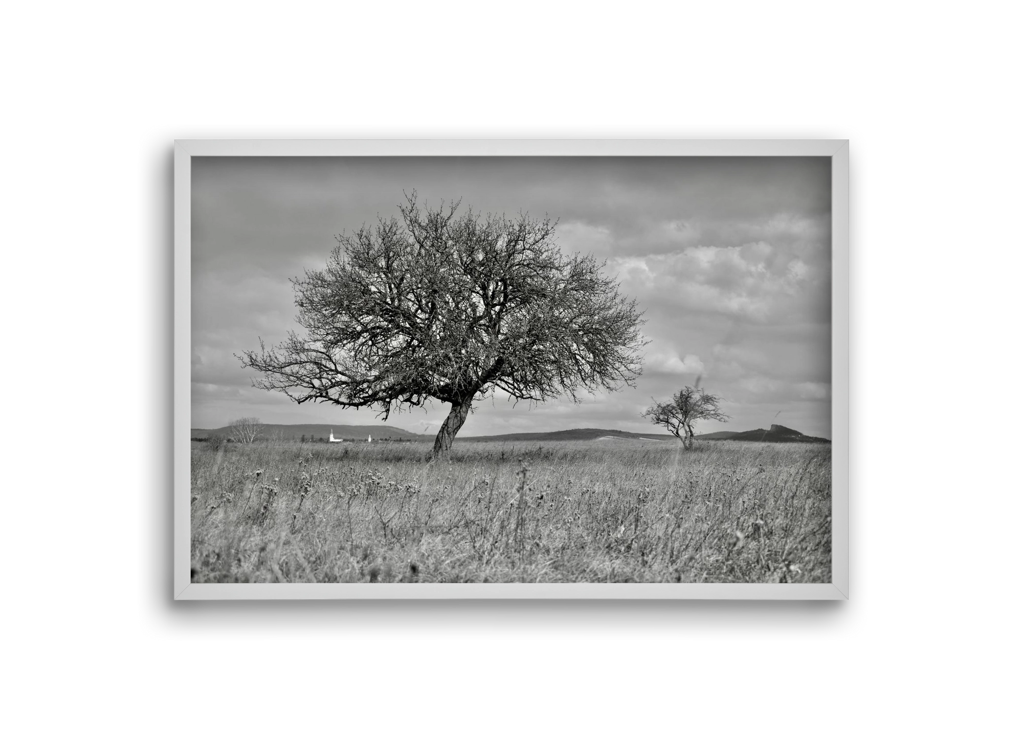 Kali, 30x20 cm (30x20 cm), Fehér keret