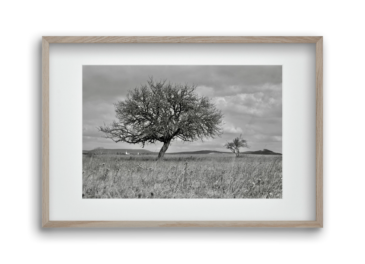 Kali, 45x30 cm (30x20 cm), Tölgy keret, paszpartuval