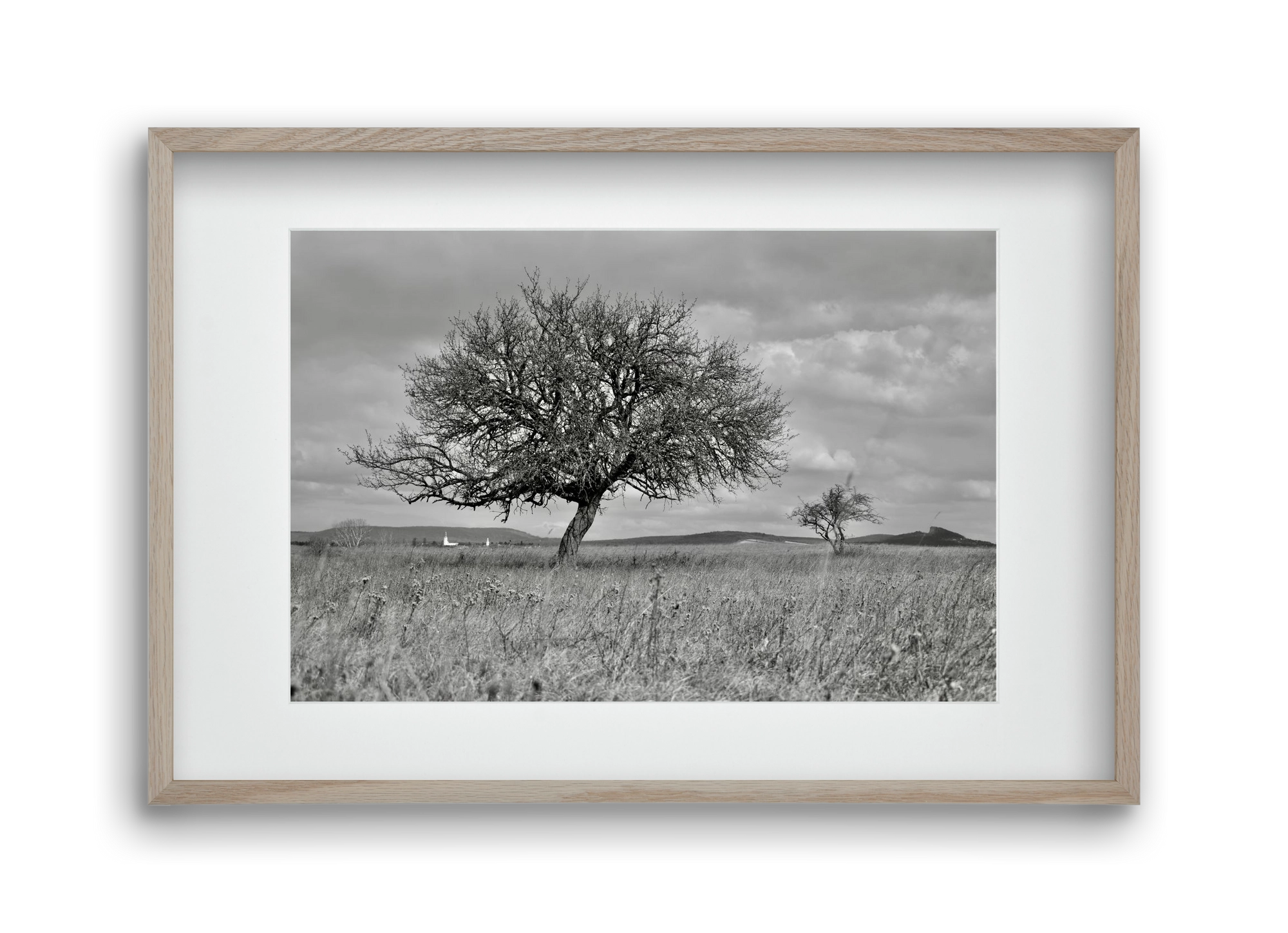 Kali, 45x30 cm (30x20 cm), Tölgy keret, paszpartuval