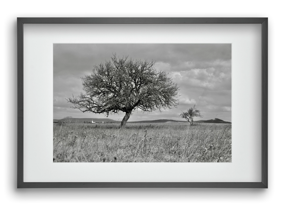Kali, 60x40 cm (45x30 cm), Fekete keret, paszpartuval