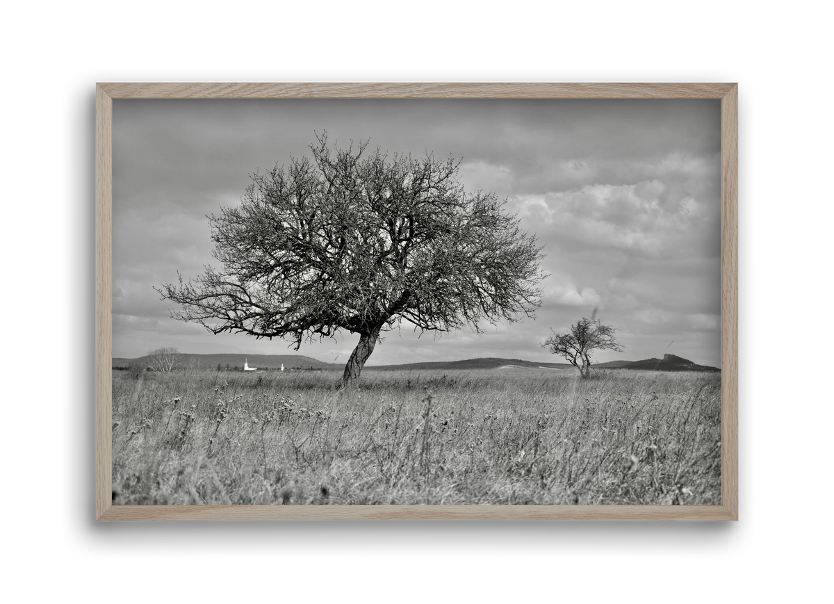 Kali, 45x30 cm (45x30 cm), Tölgy keret