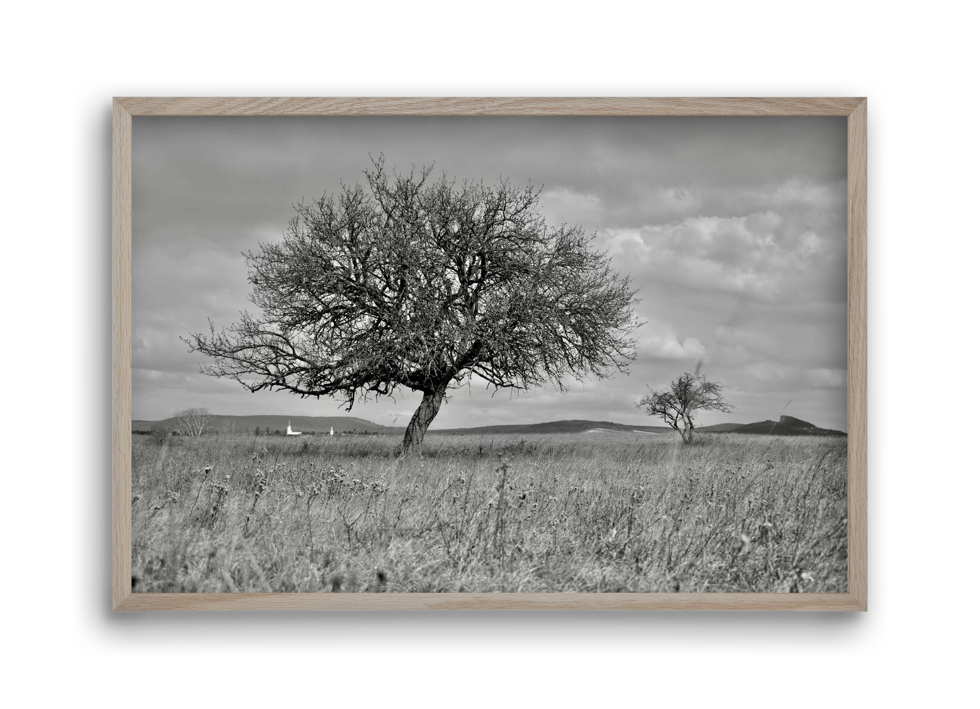 Kali, 45x30 cm (45x30 cm), Tölgy keret