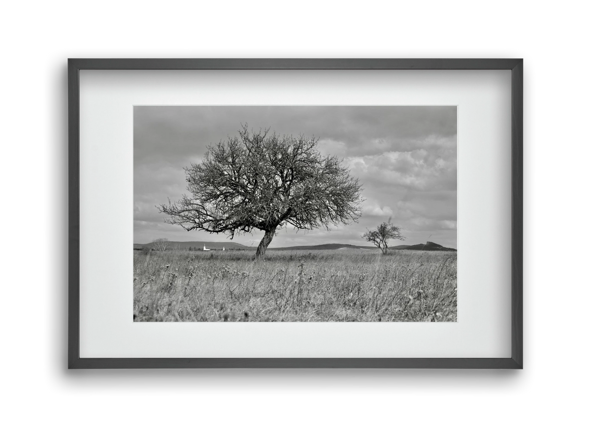 Kali, 45x30 cm (30x20 cm), Fekete keret, paszpartuval