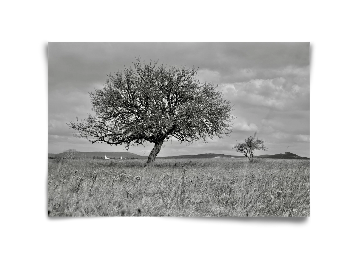 Kali, 45x30 cm, Keret nélkül