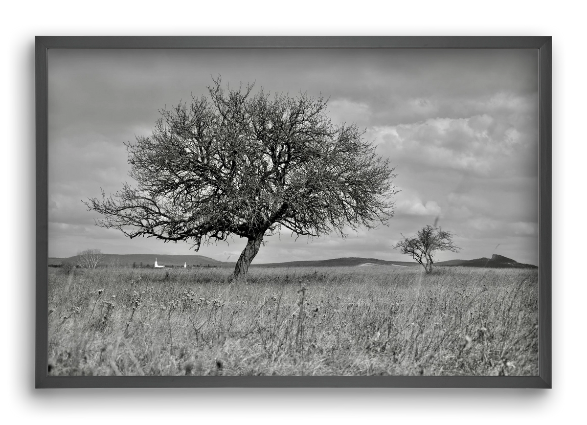 Kali, 60x40 cm (60x40 cm), Fekete keret