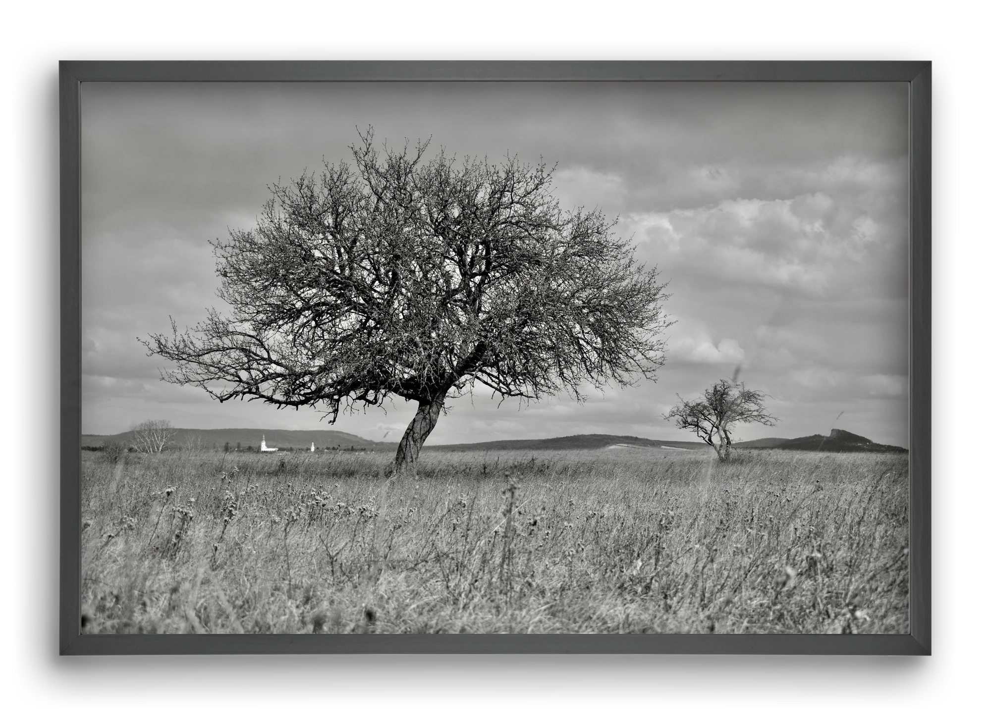 Kali, 60x40 cm (60x40 cm), Fekete keret