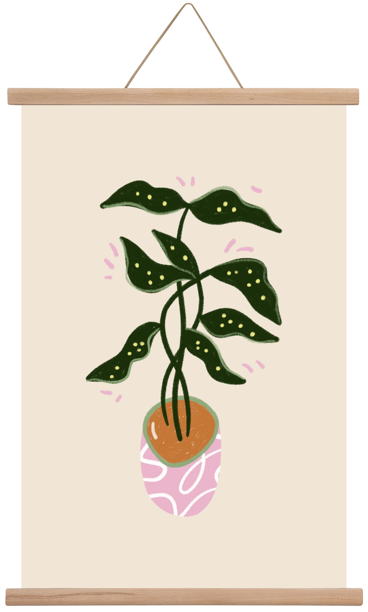 Plant friend, 40x60 cm (40x60 cm), Tölgy akasztó