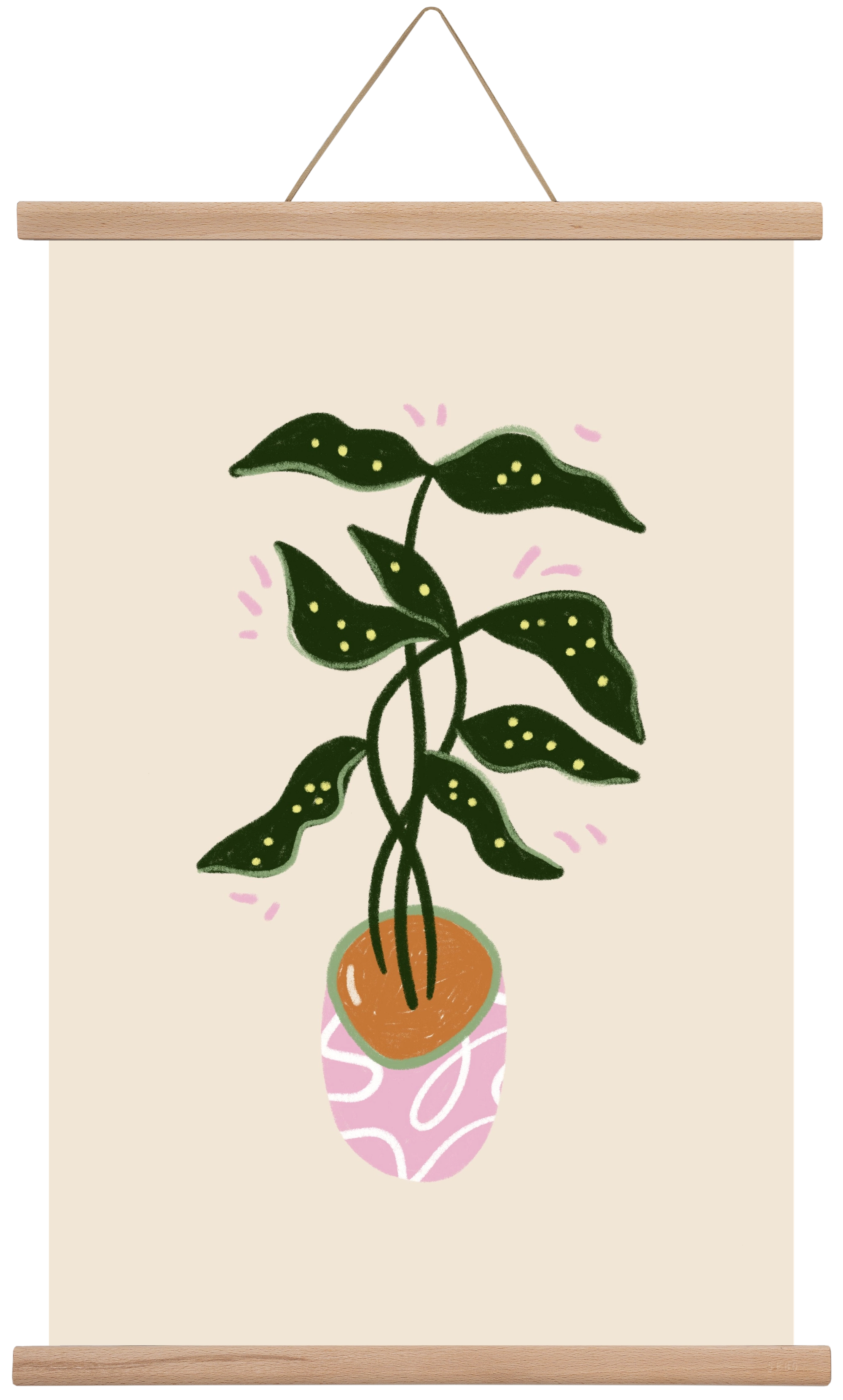 Plant friend, 40x60 cm (40x60 cm), Tölgy akasztó