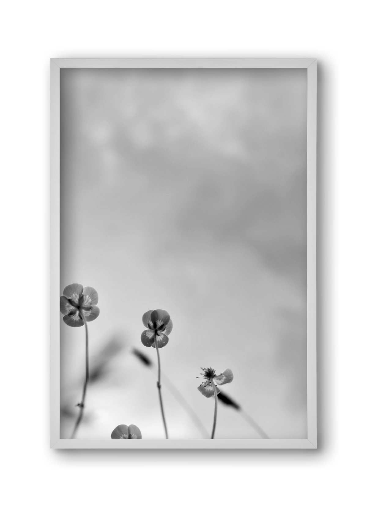 Buttercups, 30x45 cm (30x45 cm), Fehér keret