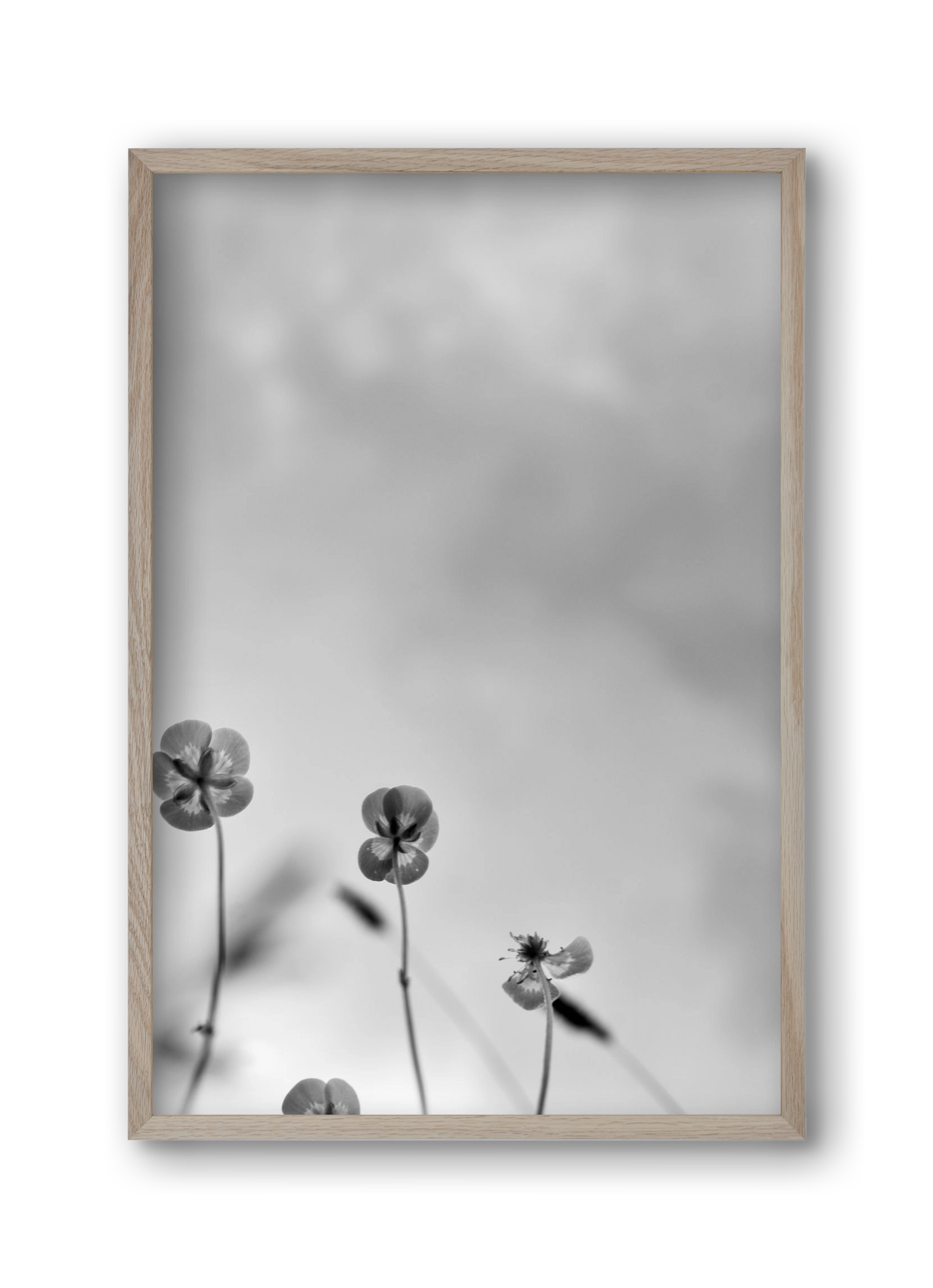 Buttercups, 30x45 cm (30x45 cm), Tölgy keret