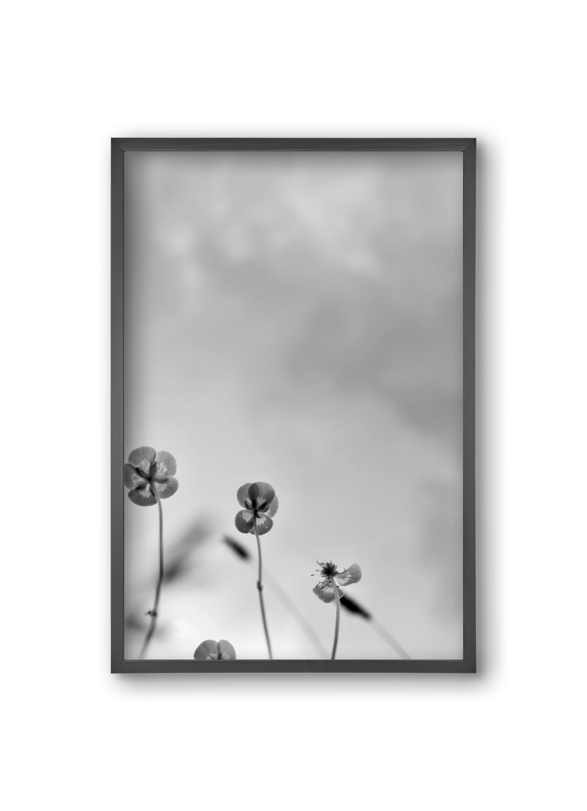 Buttercups, 20x30 cm (20x30 cm), Fekete keret